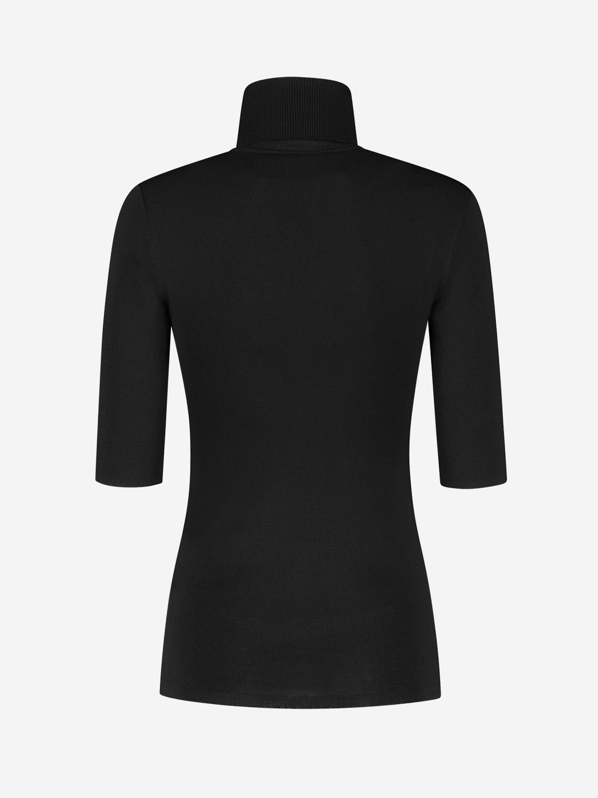Jolie Turtle Top 1/2 sleeve