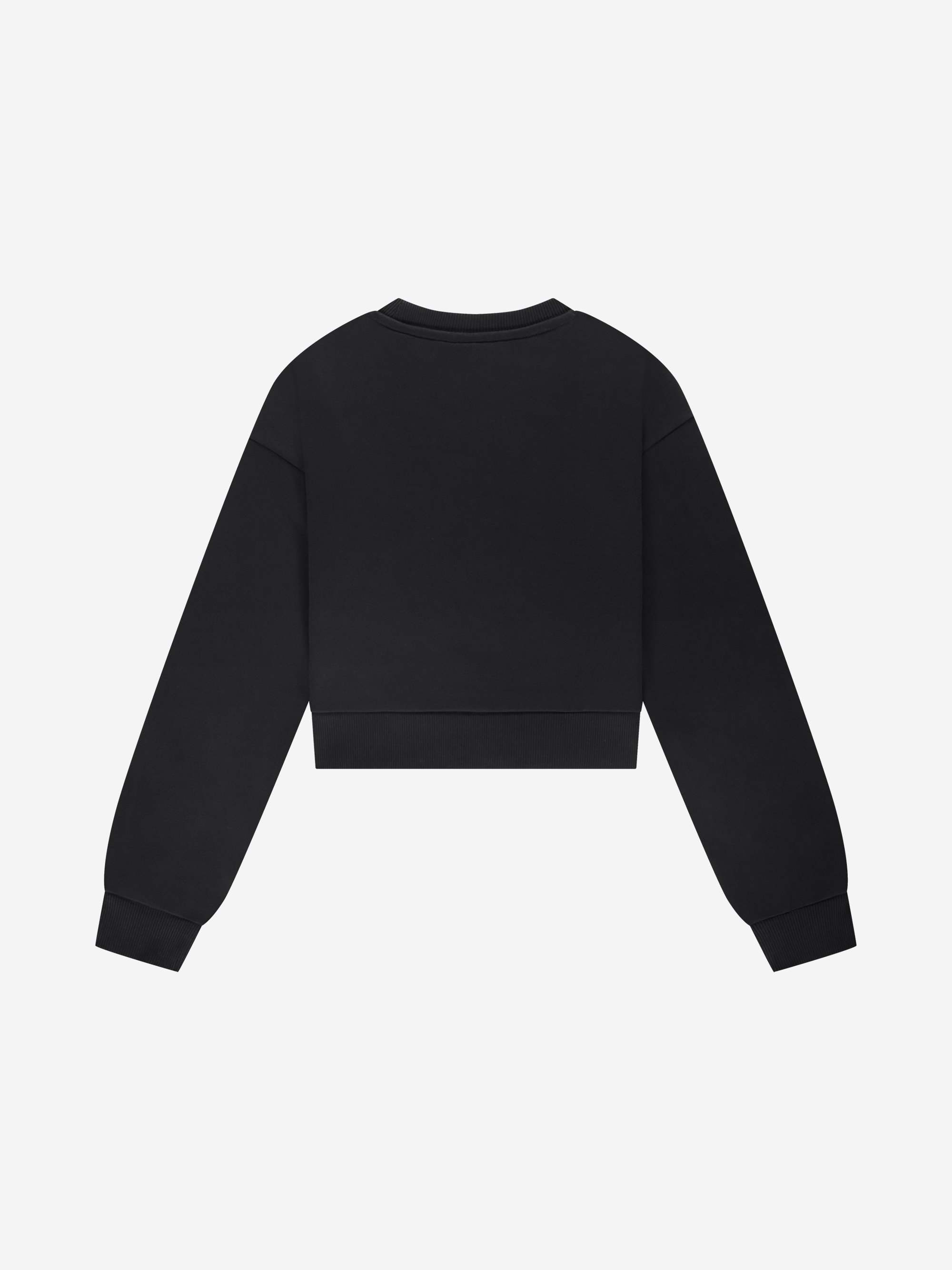 Cropped sweater with glittering studs