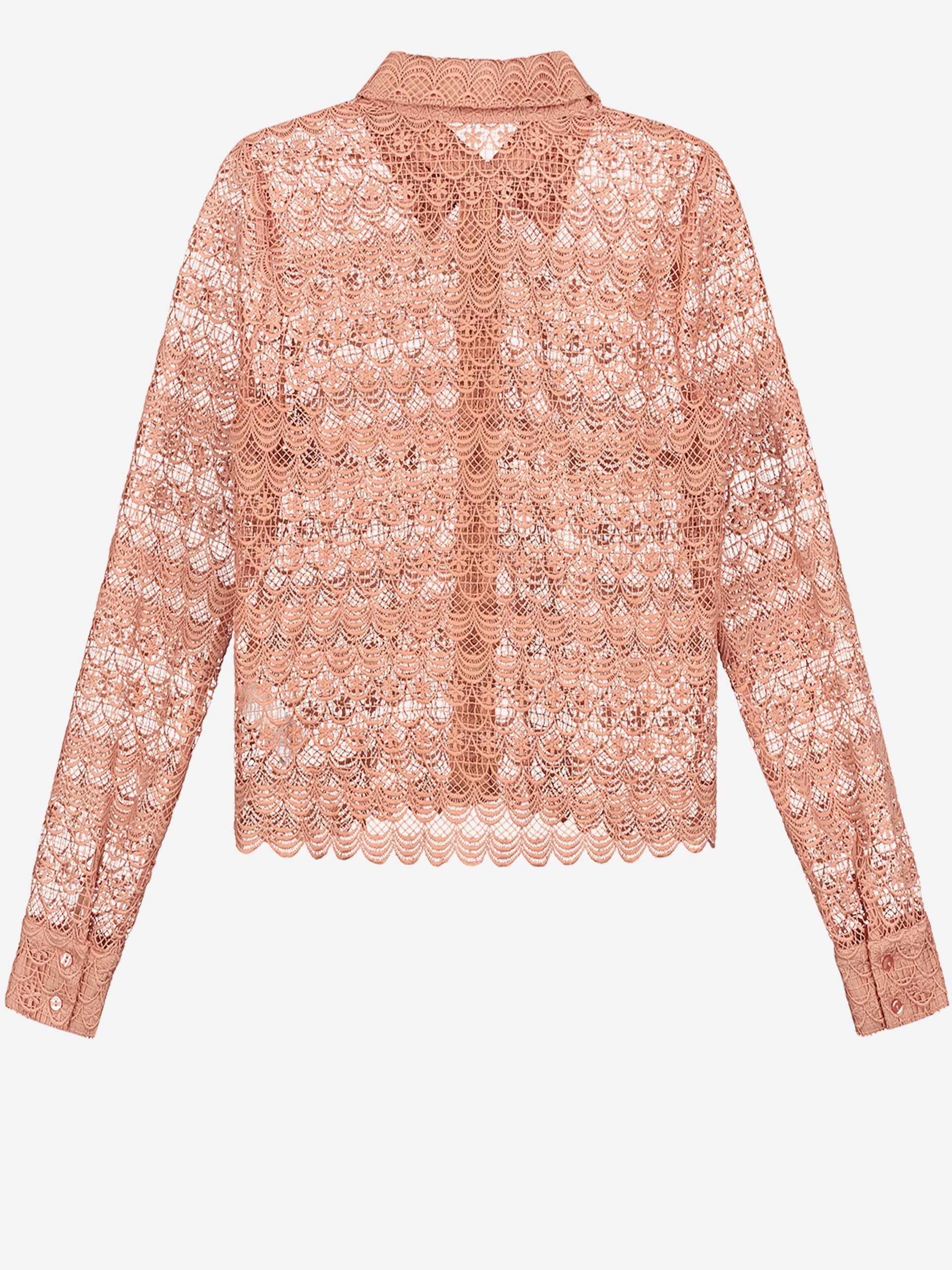 Sophie Blouse