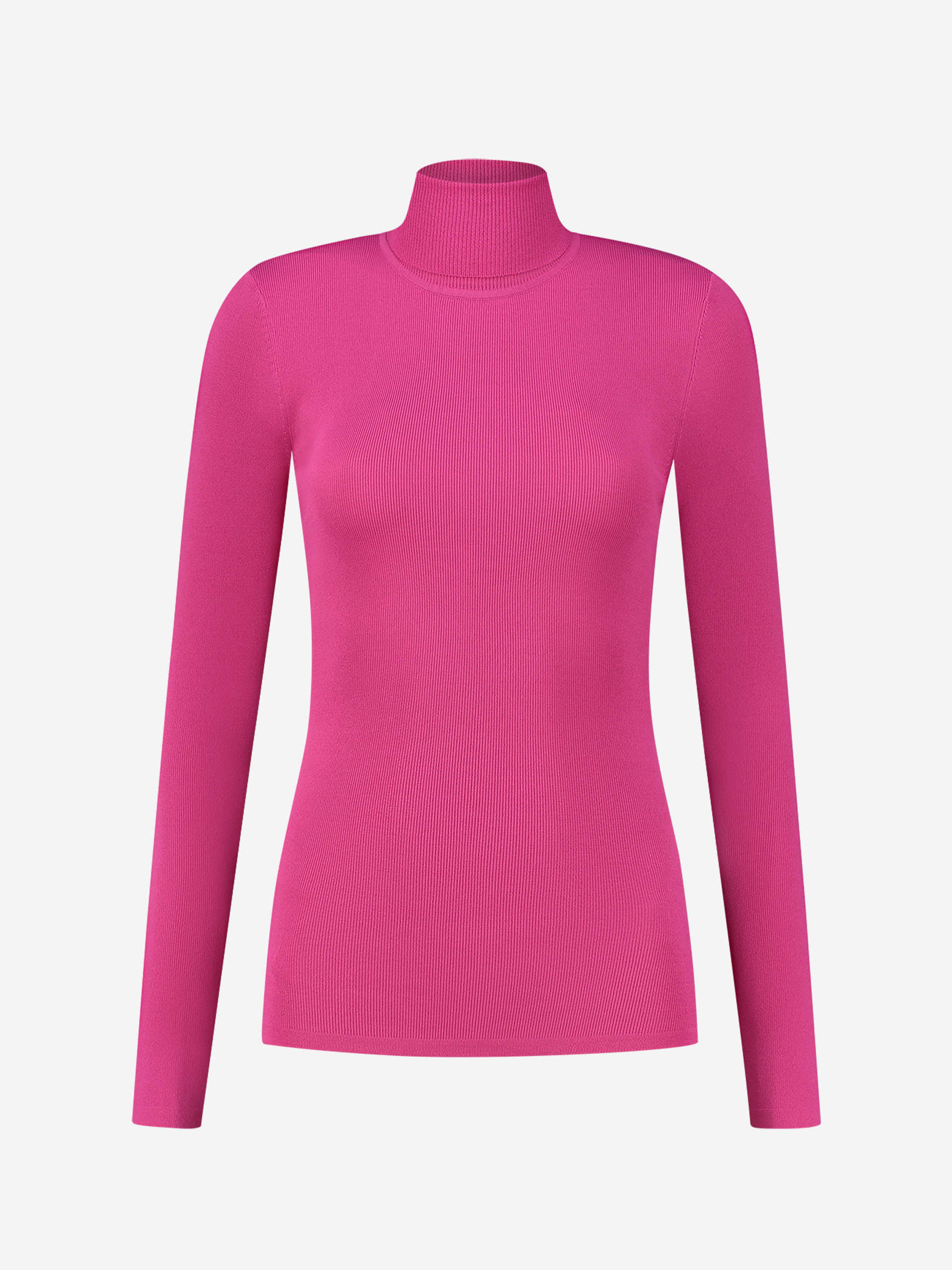  Fitted longsleeve with turtle neck  