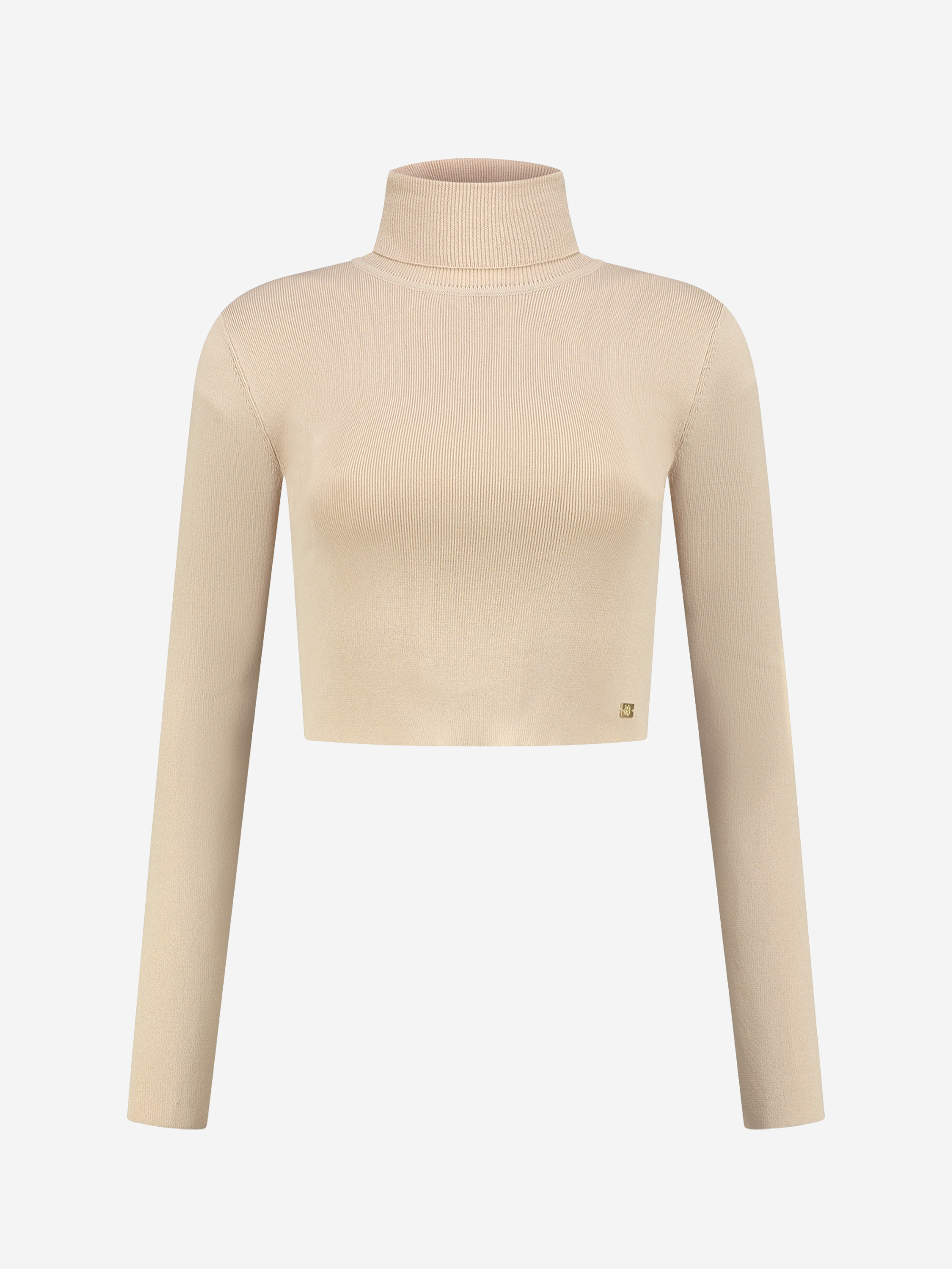 Fitted cropped longsleeve with turtle neck   