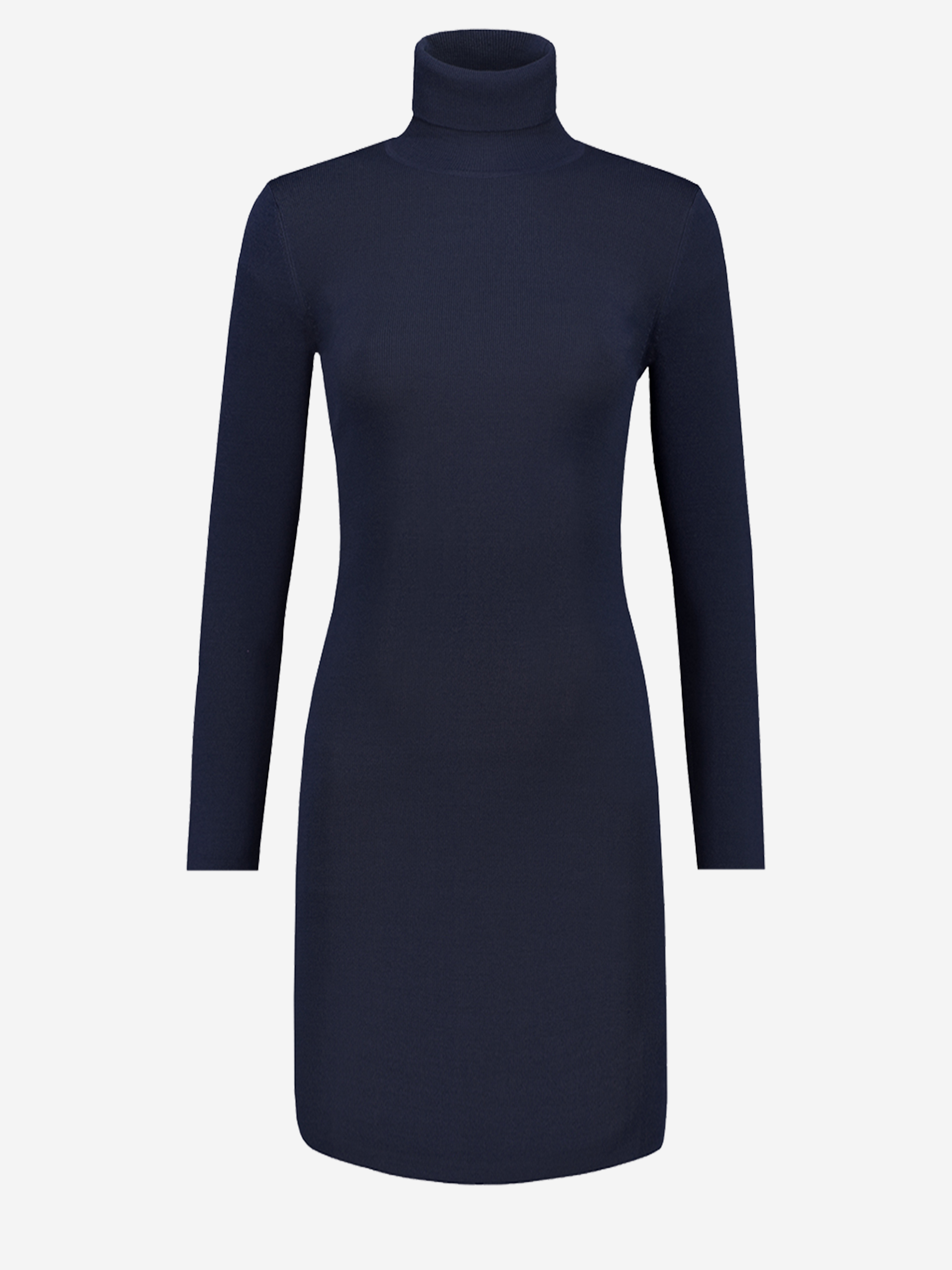 Jolie turtle dress