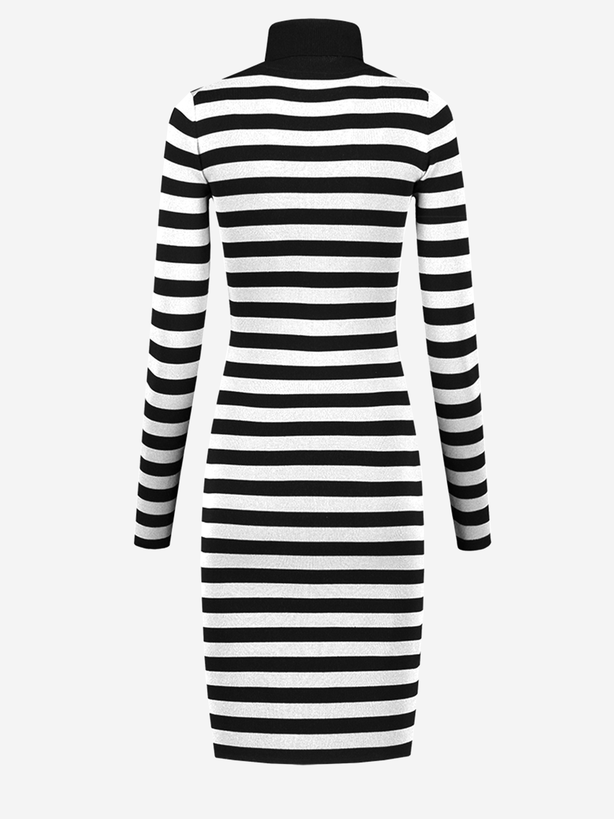 Jolie turtle dress
