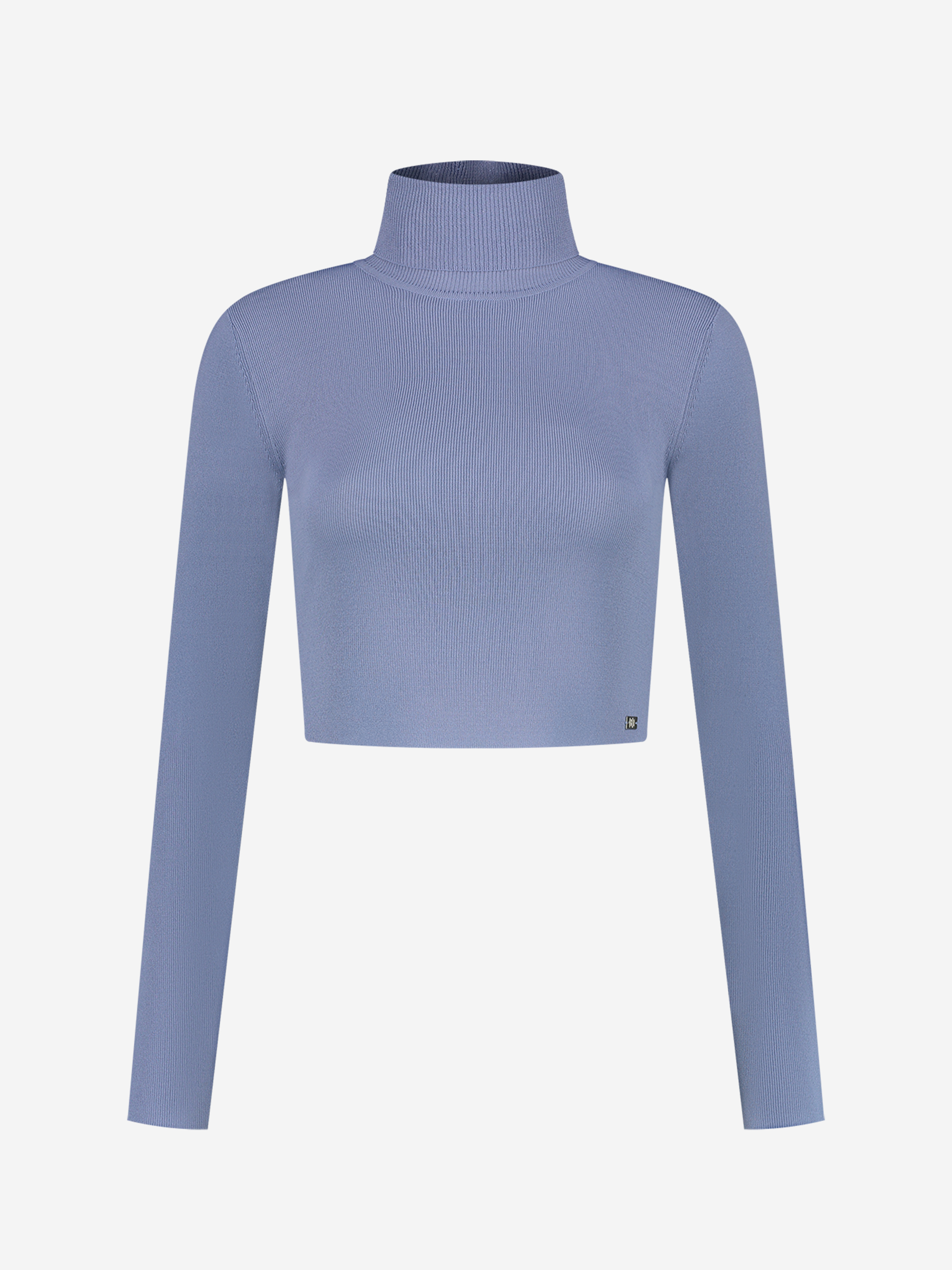 Fitted cropped longsleeve with turtle neck   