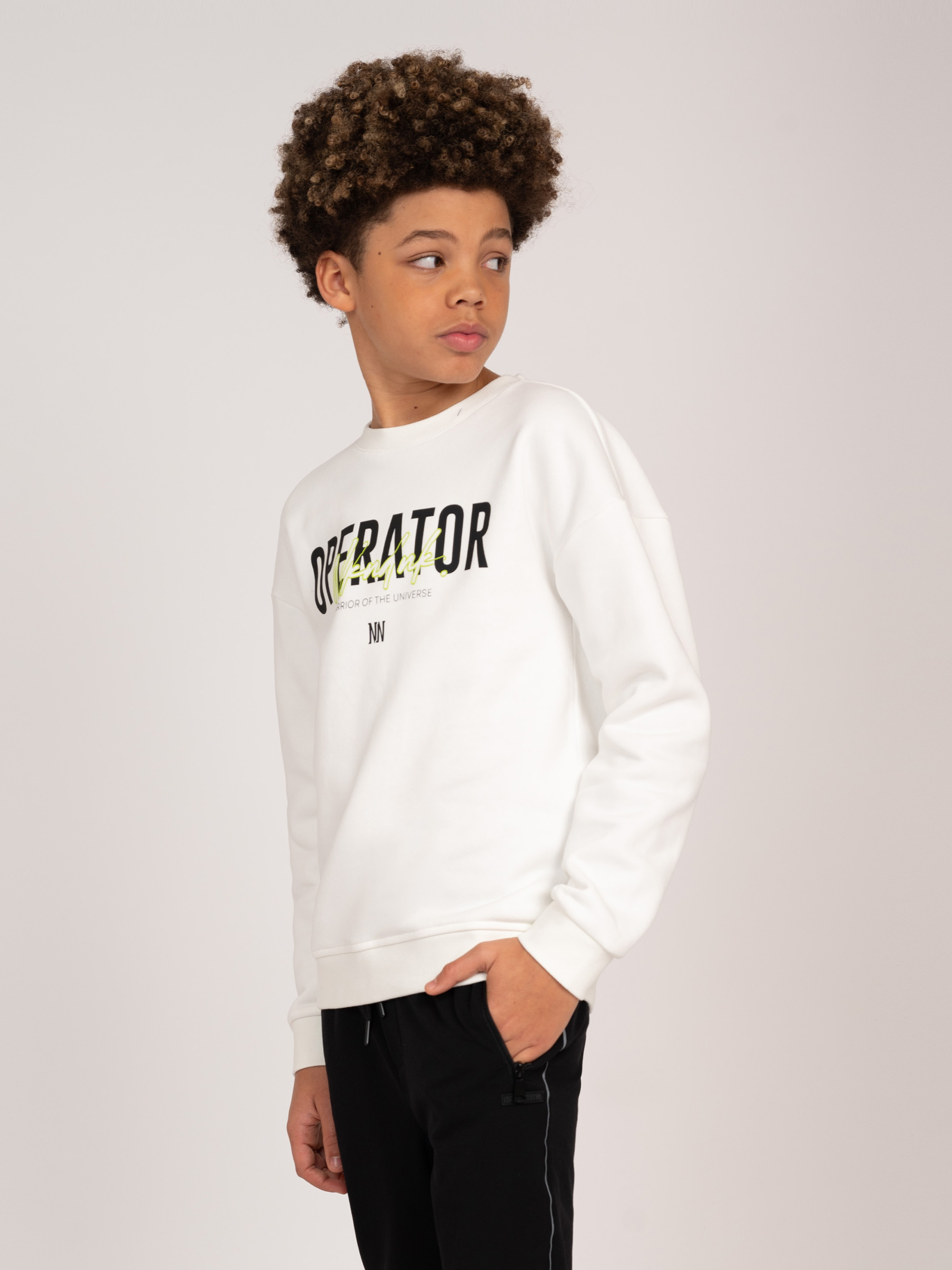 Sweatshirt with graphic print