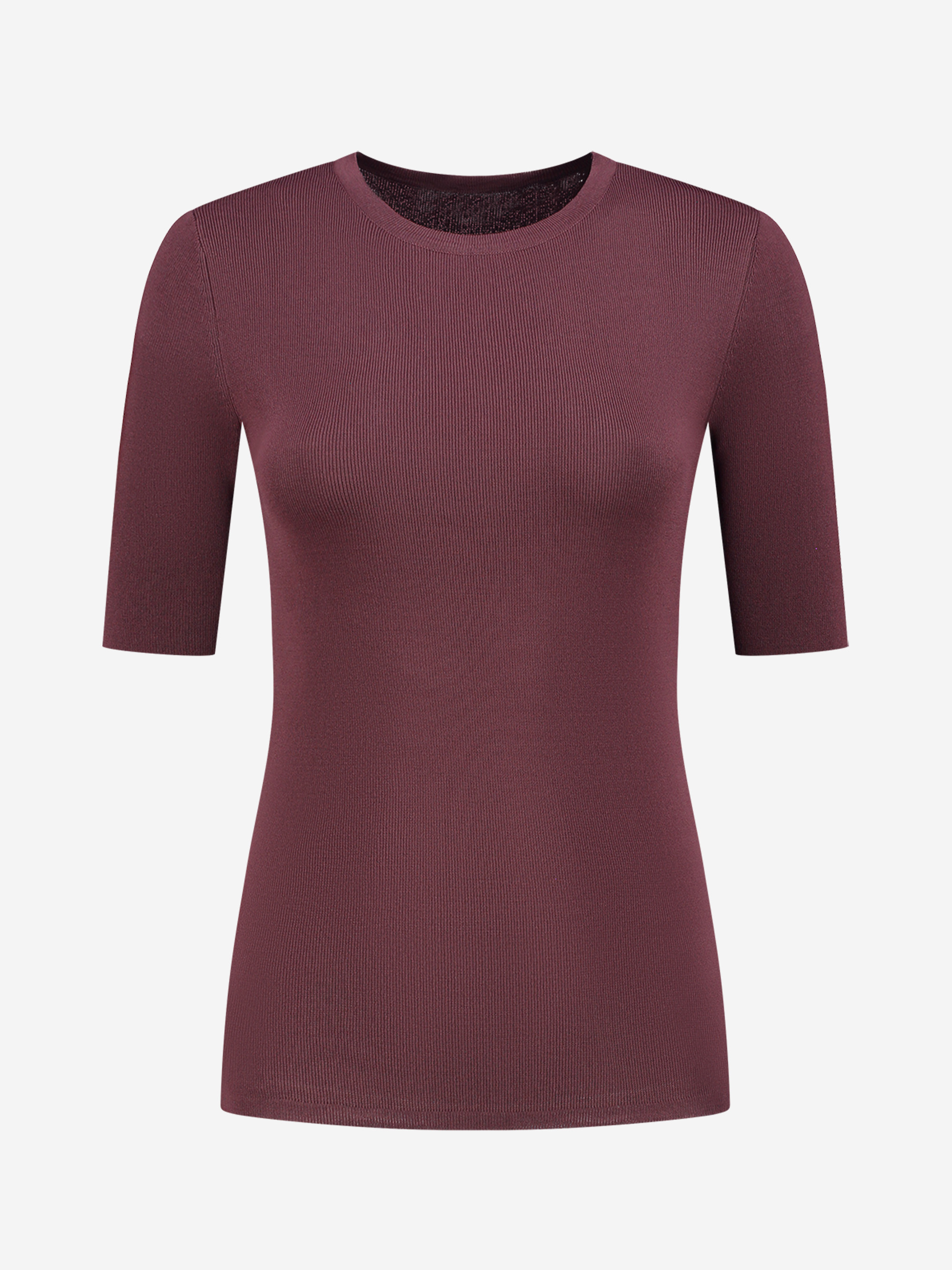 Fitted half sleeves with roundneck 