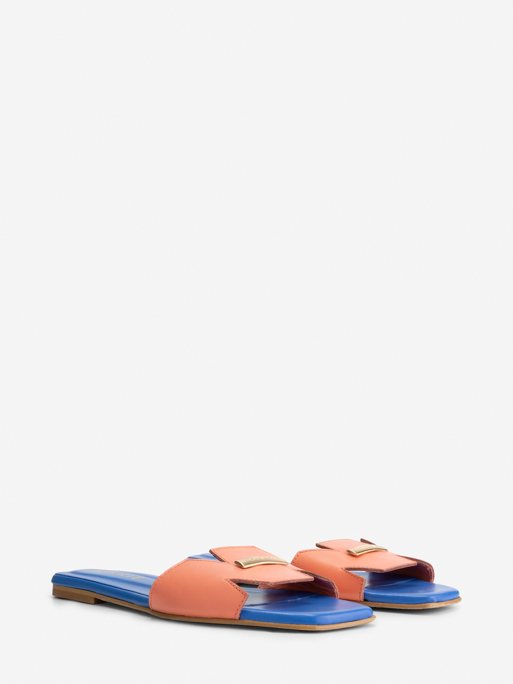 NIKKIE Slides