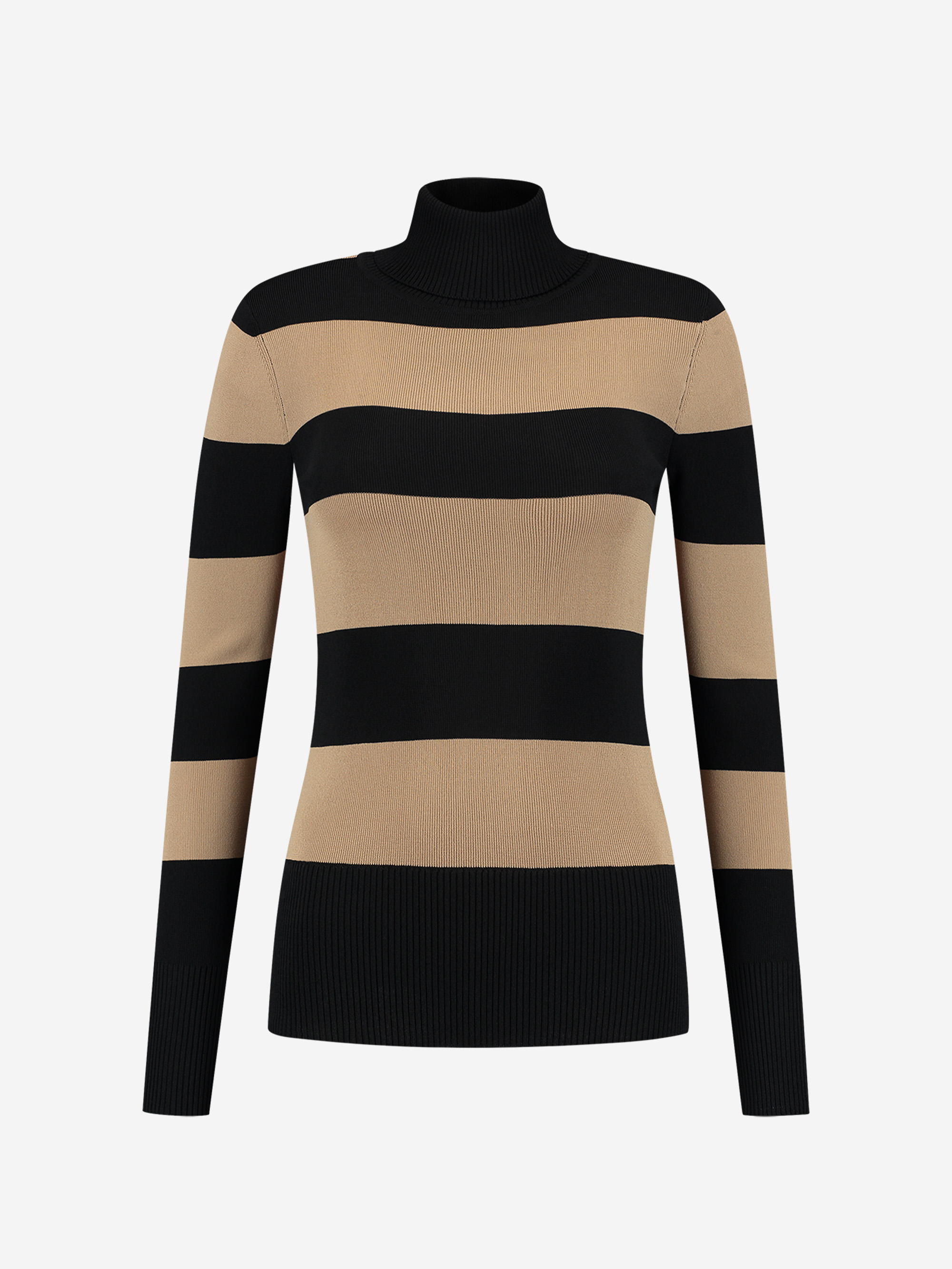 Striped top with turtle neck
