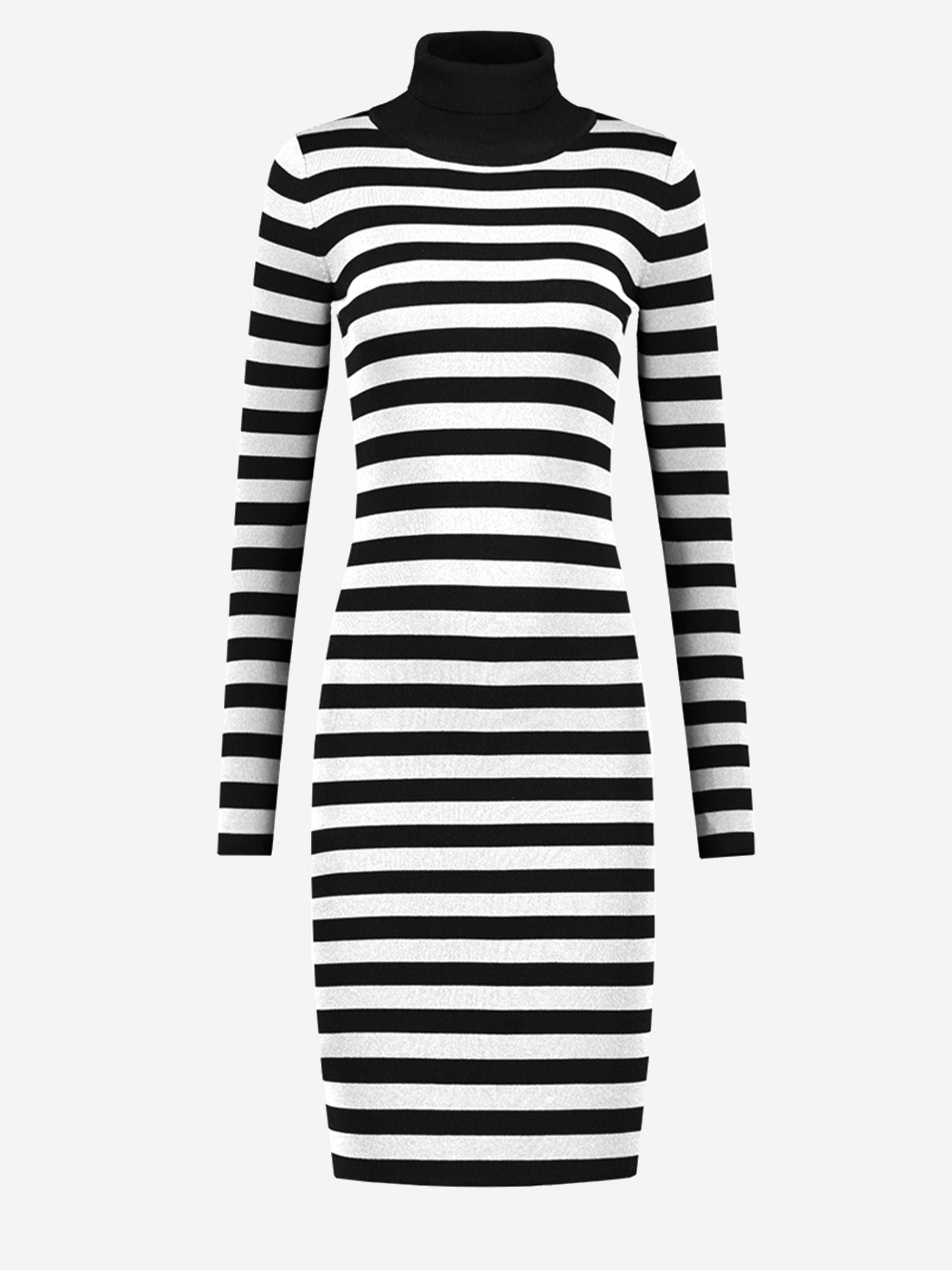 Jolie turtle dress