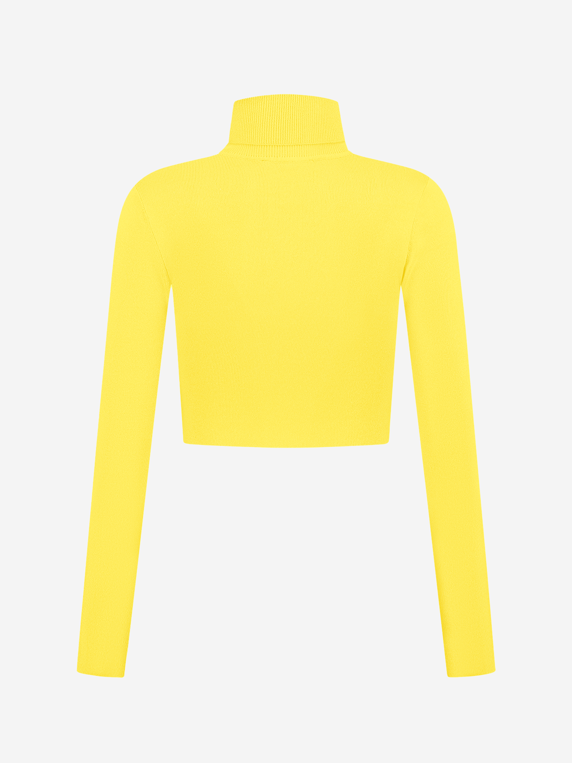 Fitted cropped longsleeve with turtle neck   