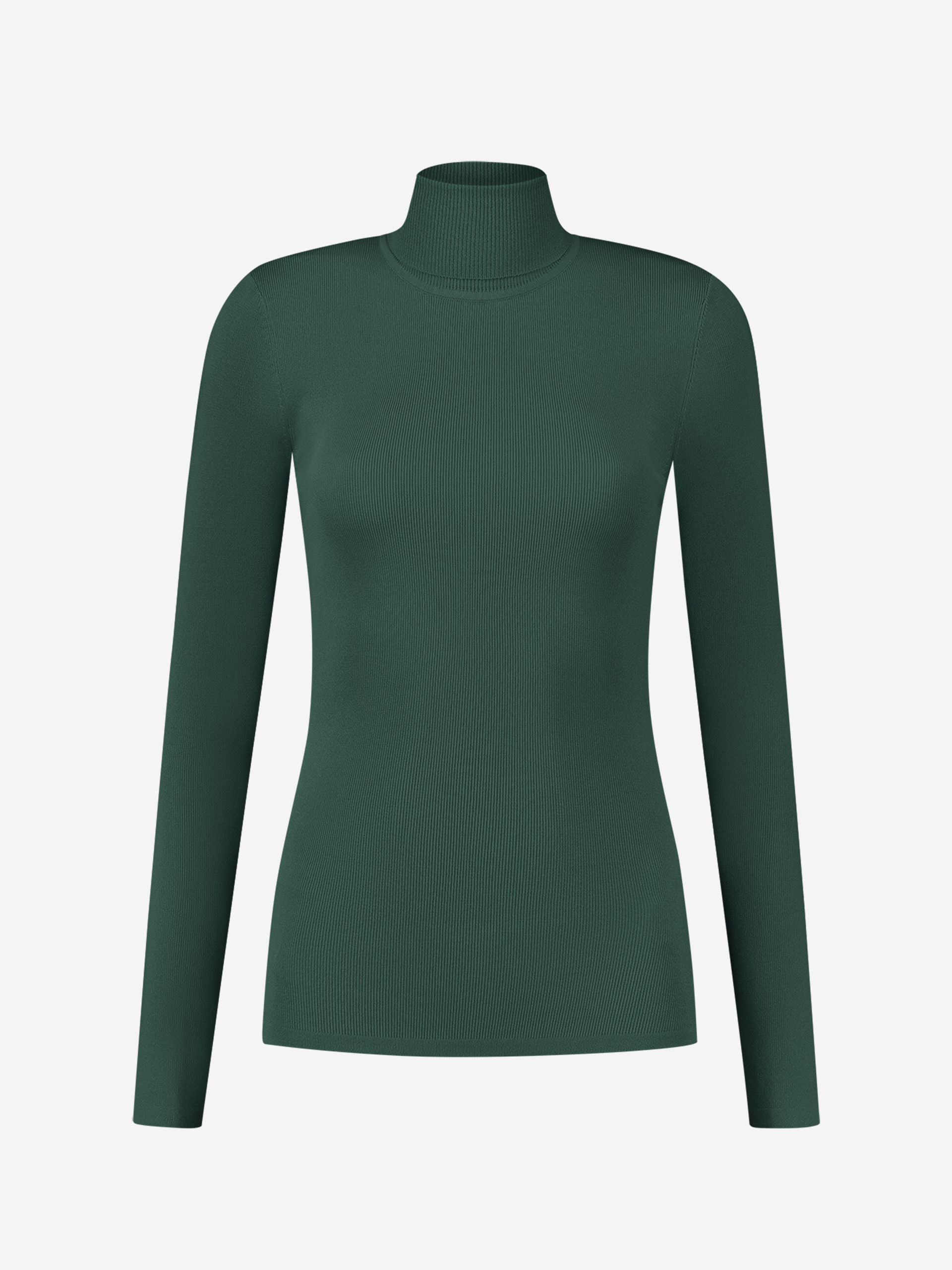 Fitted longsleeve with turtle neck  