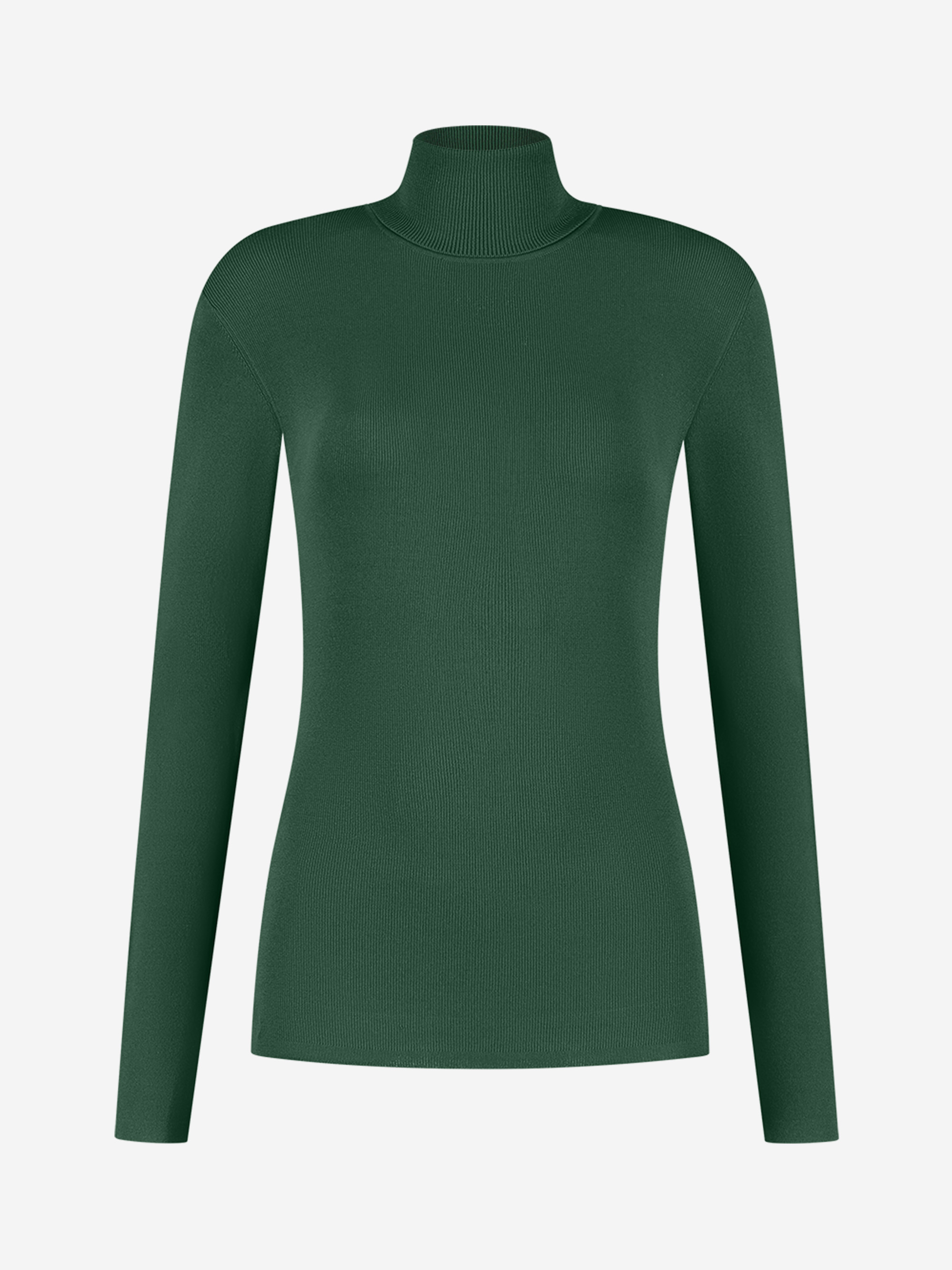 Fitted top with turtleneck