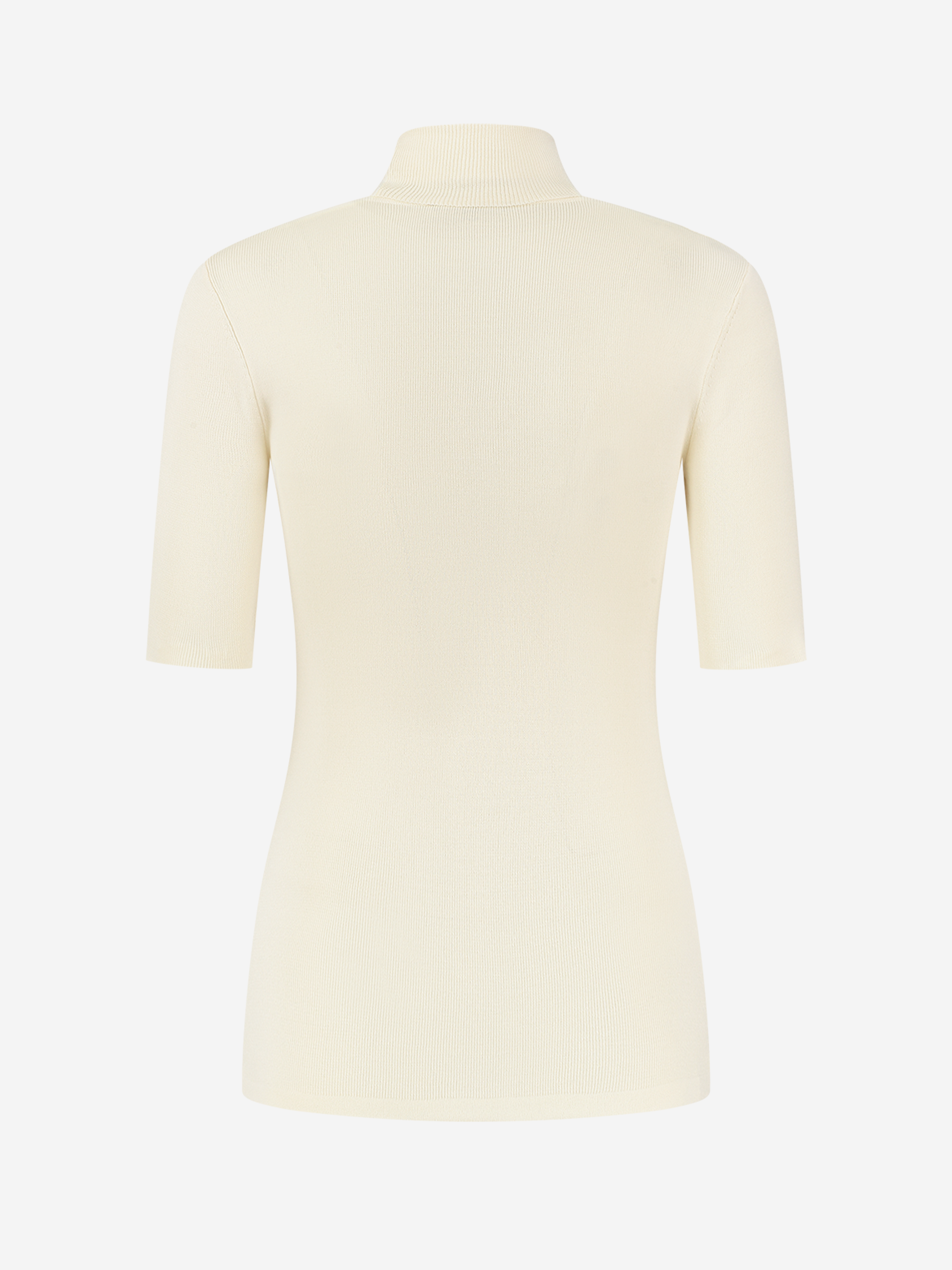 Jolie Turtle SS Top