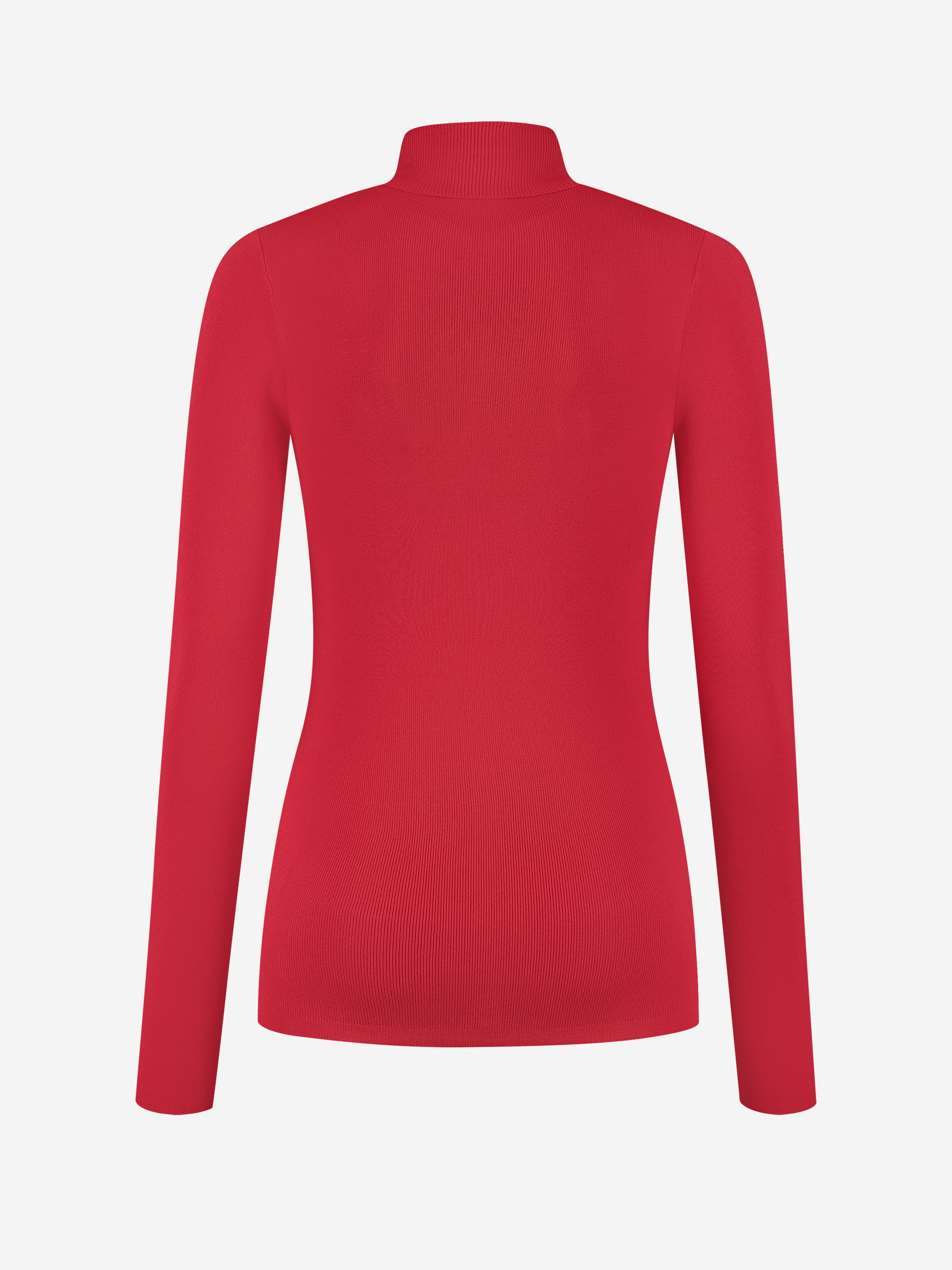 Fitted top with logo patch and turtleneck