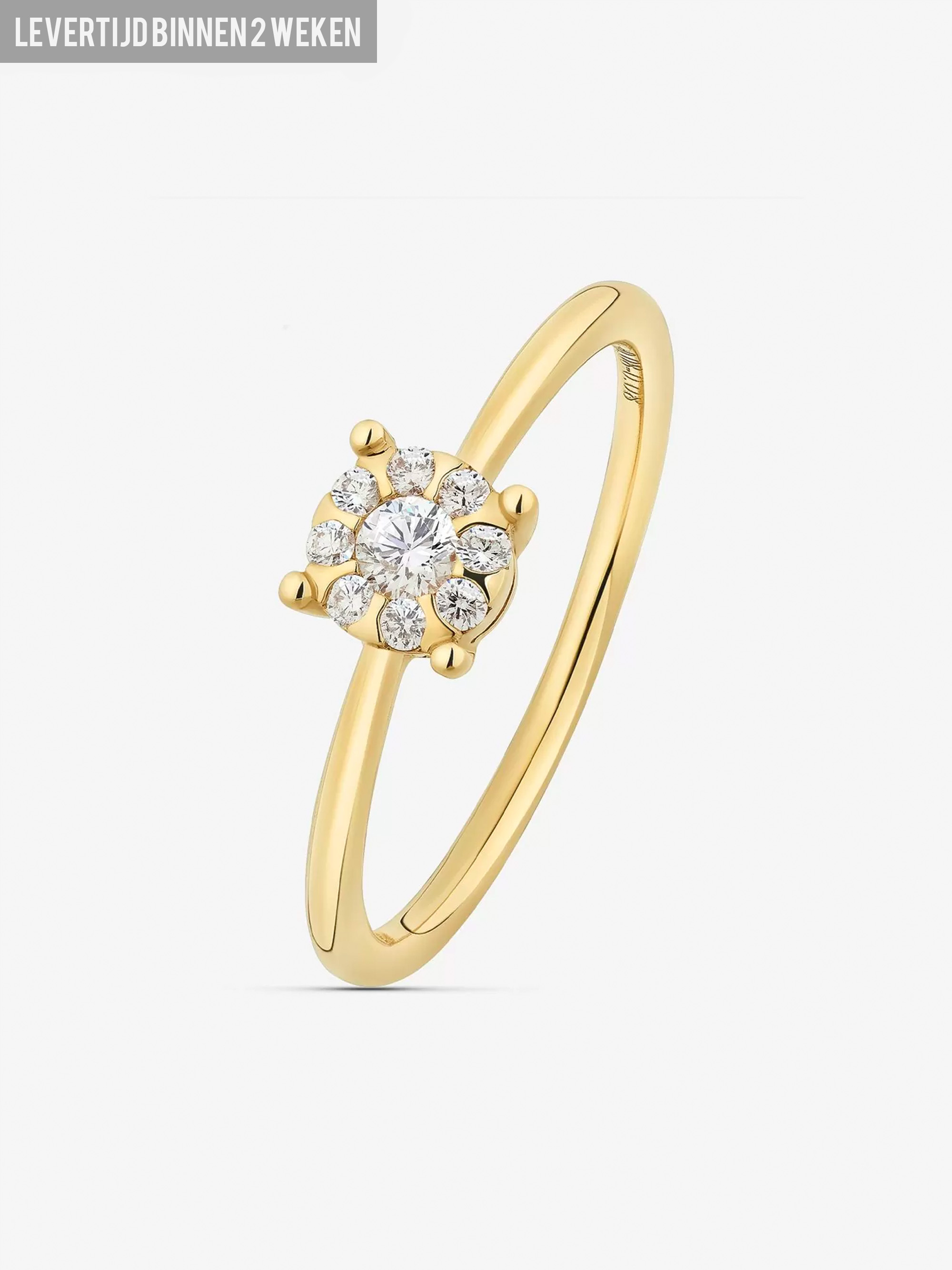 DIAMANTEN RING