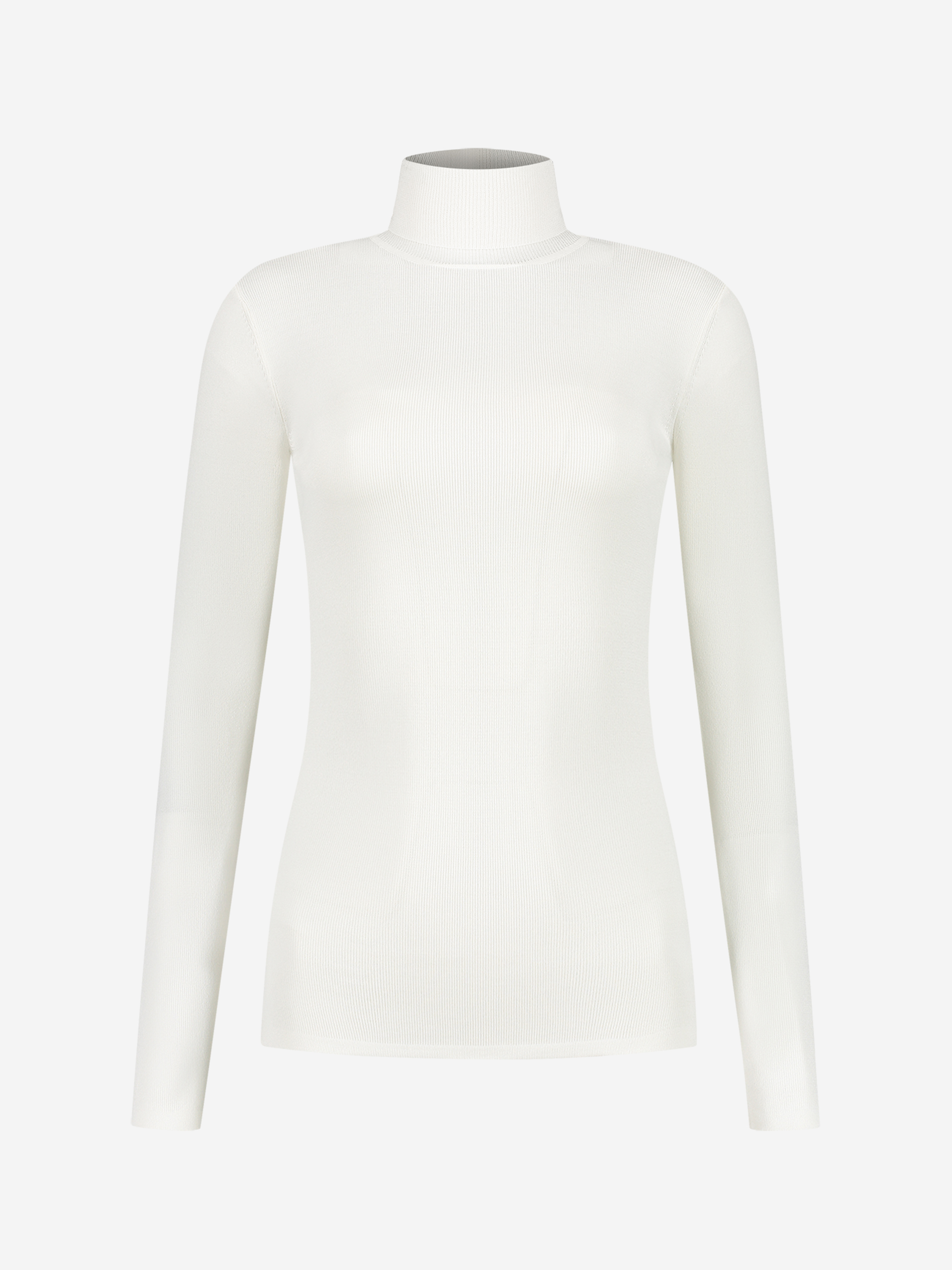 Fitted top with turtle neck