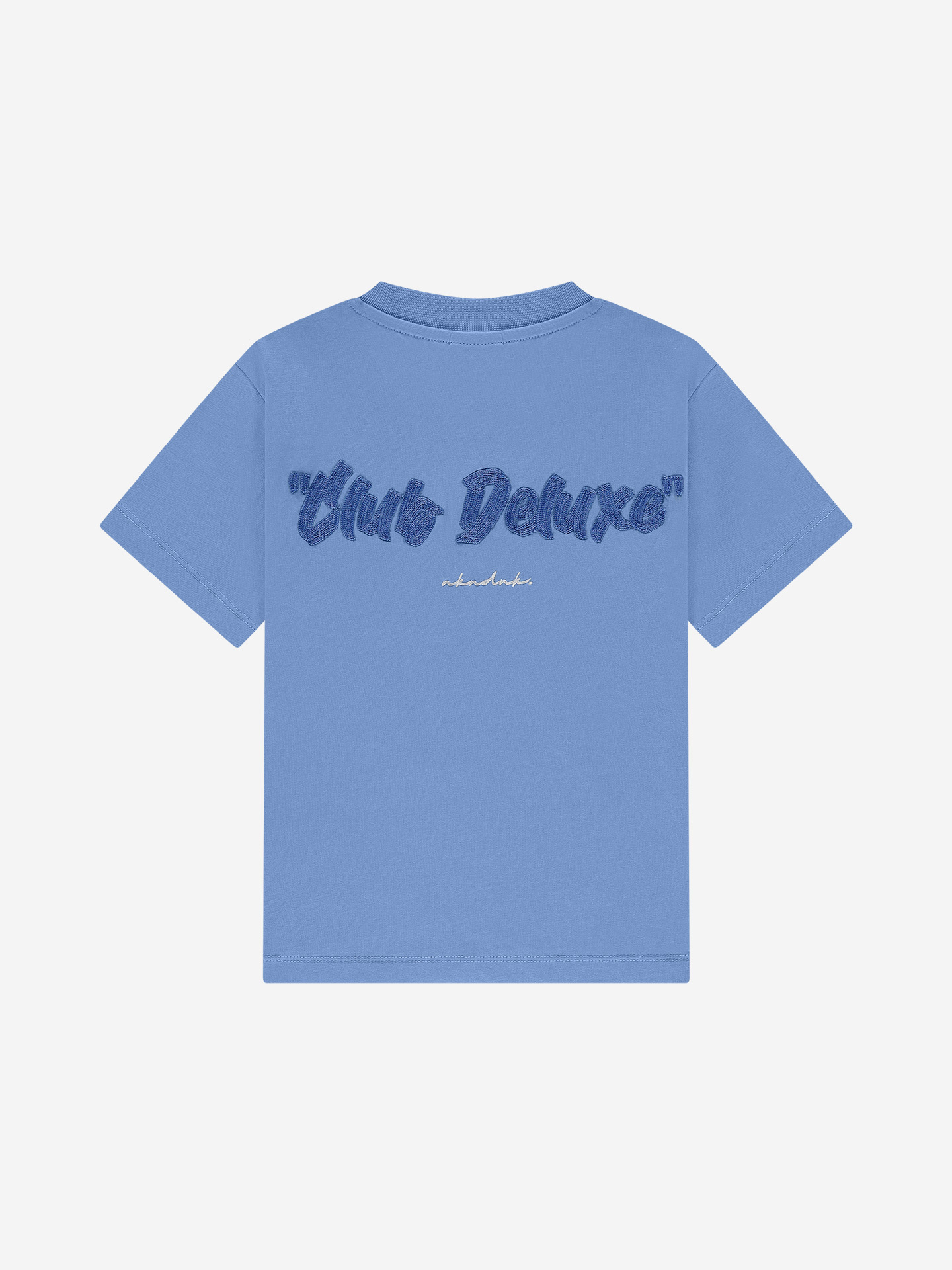 T-shirt with embroidered text