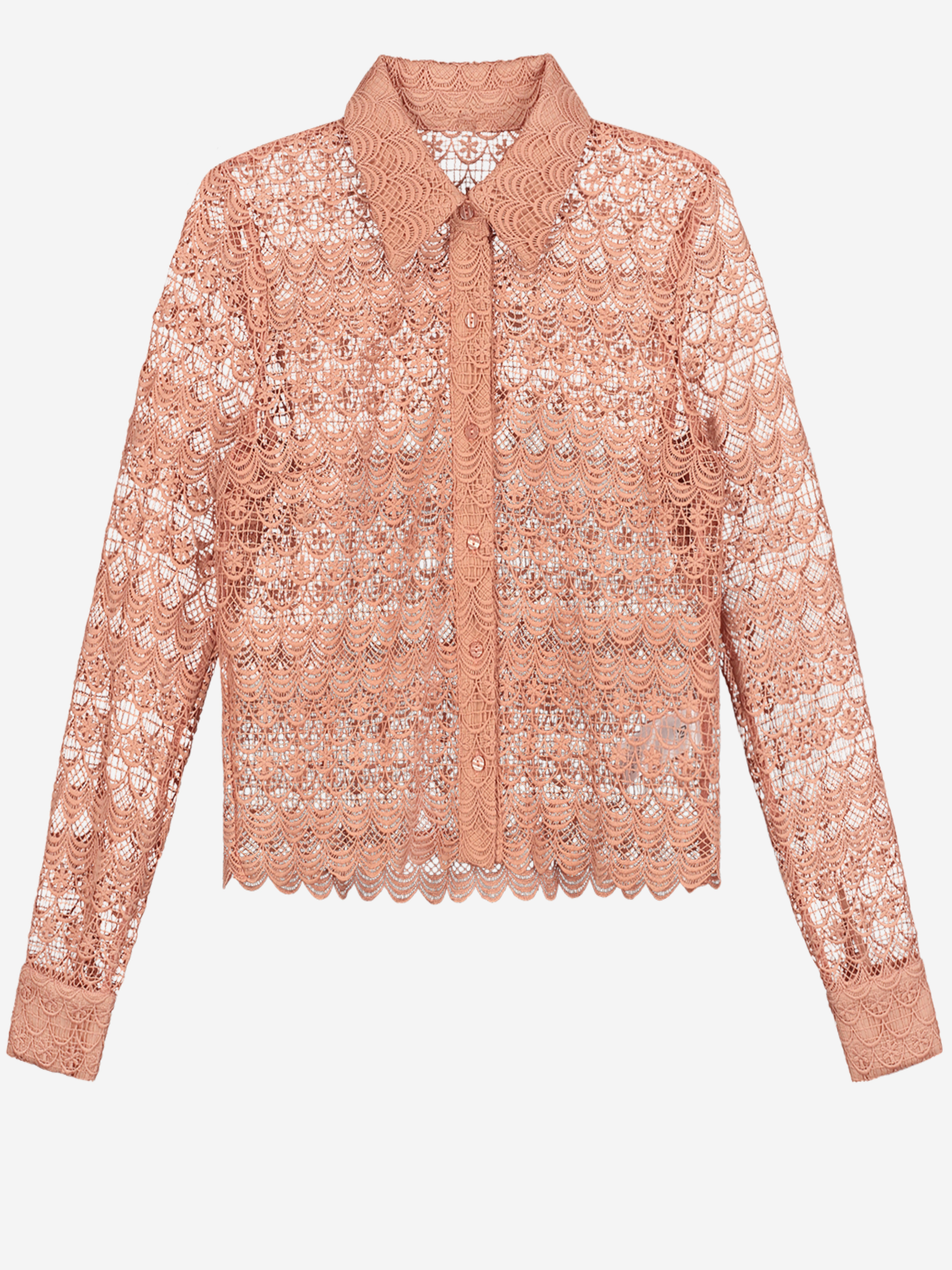 Sophie Blouse