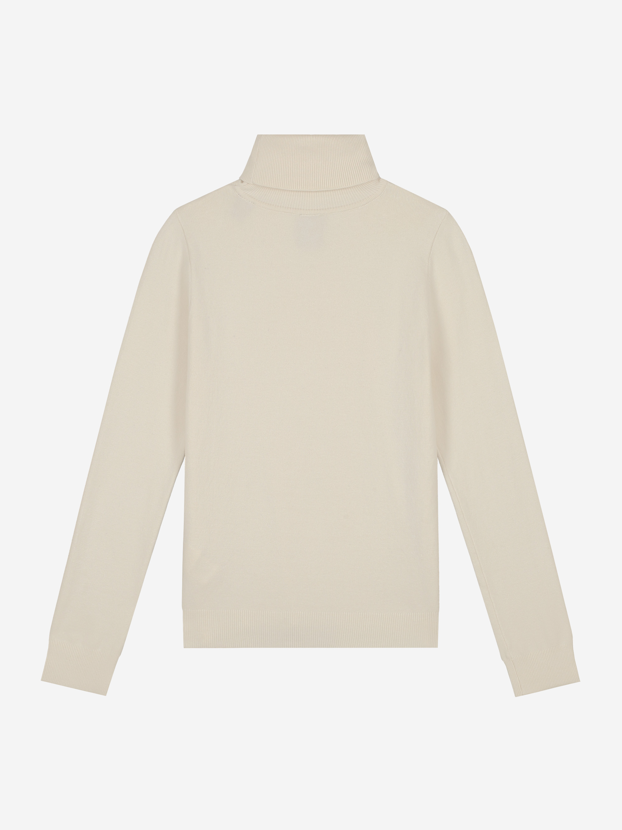 Sweater with turtleneck
