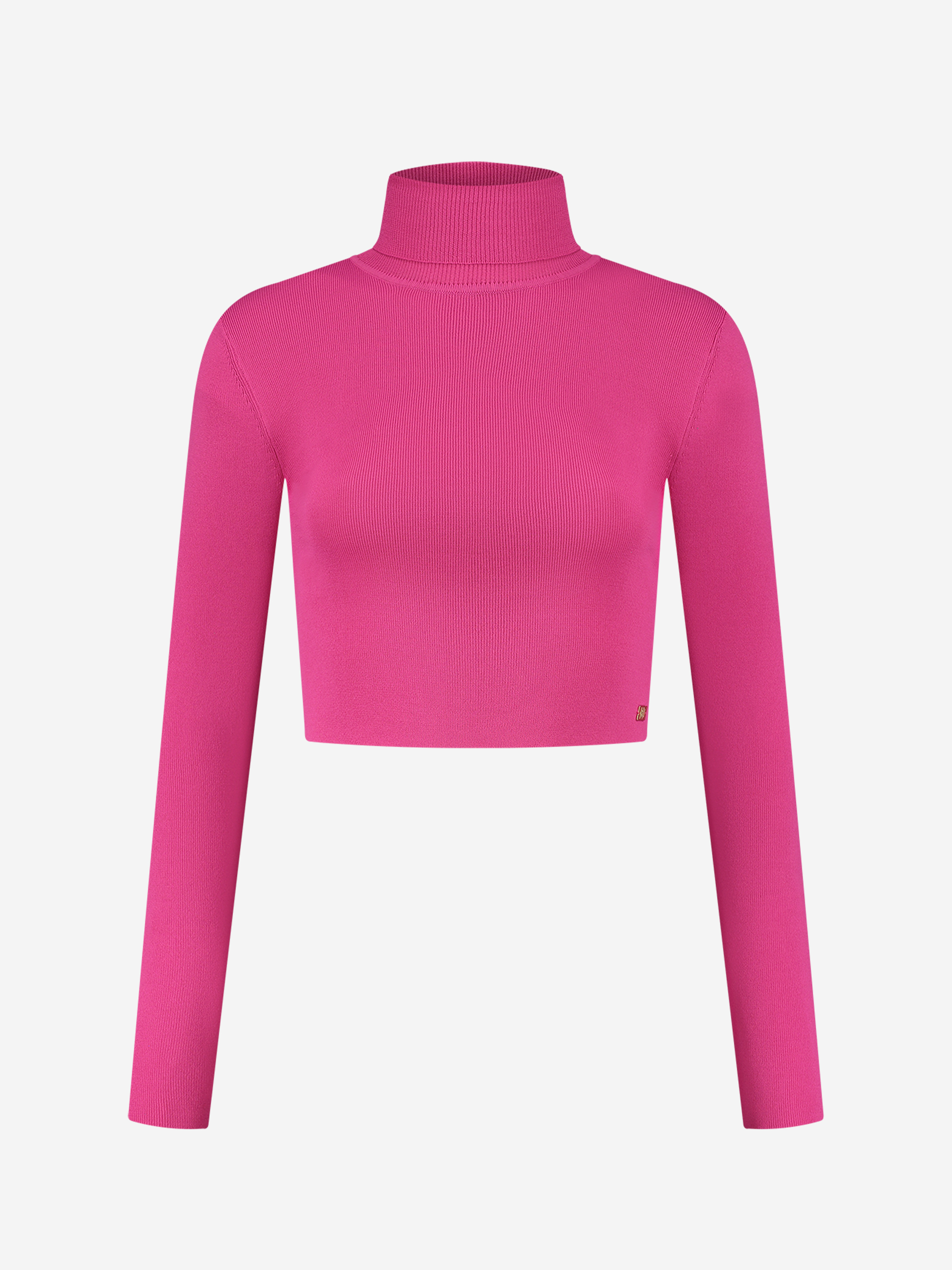  Fitted cropped longsleeve with turtle neck   