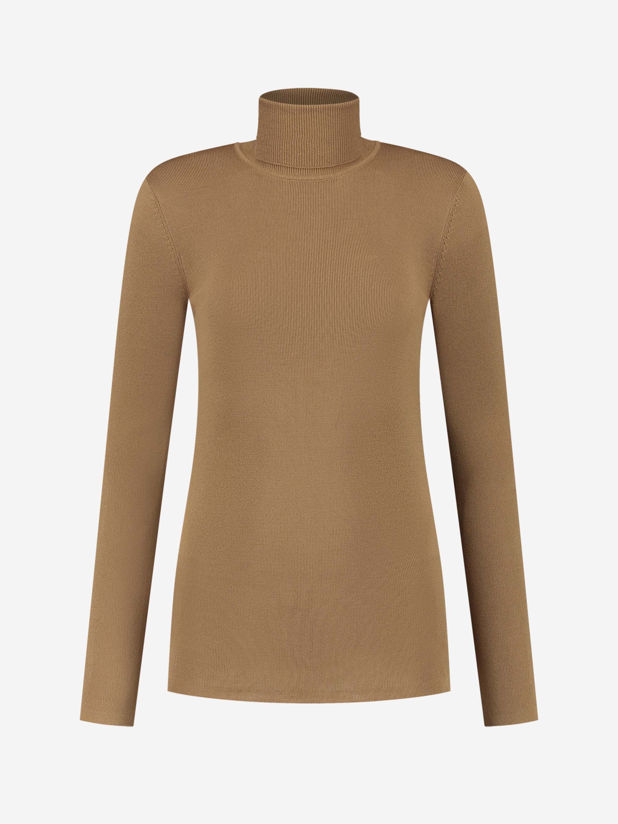Fitted Turtle neck top 