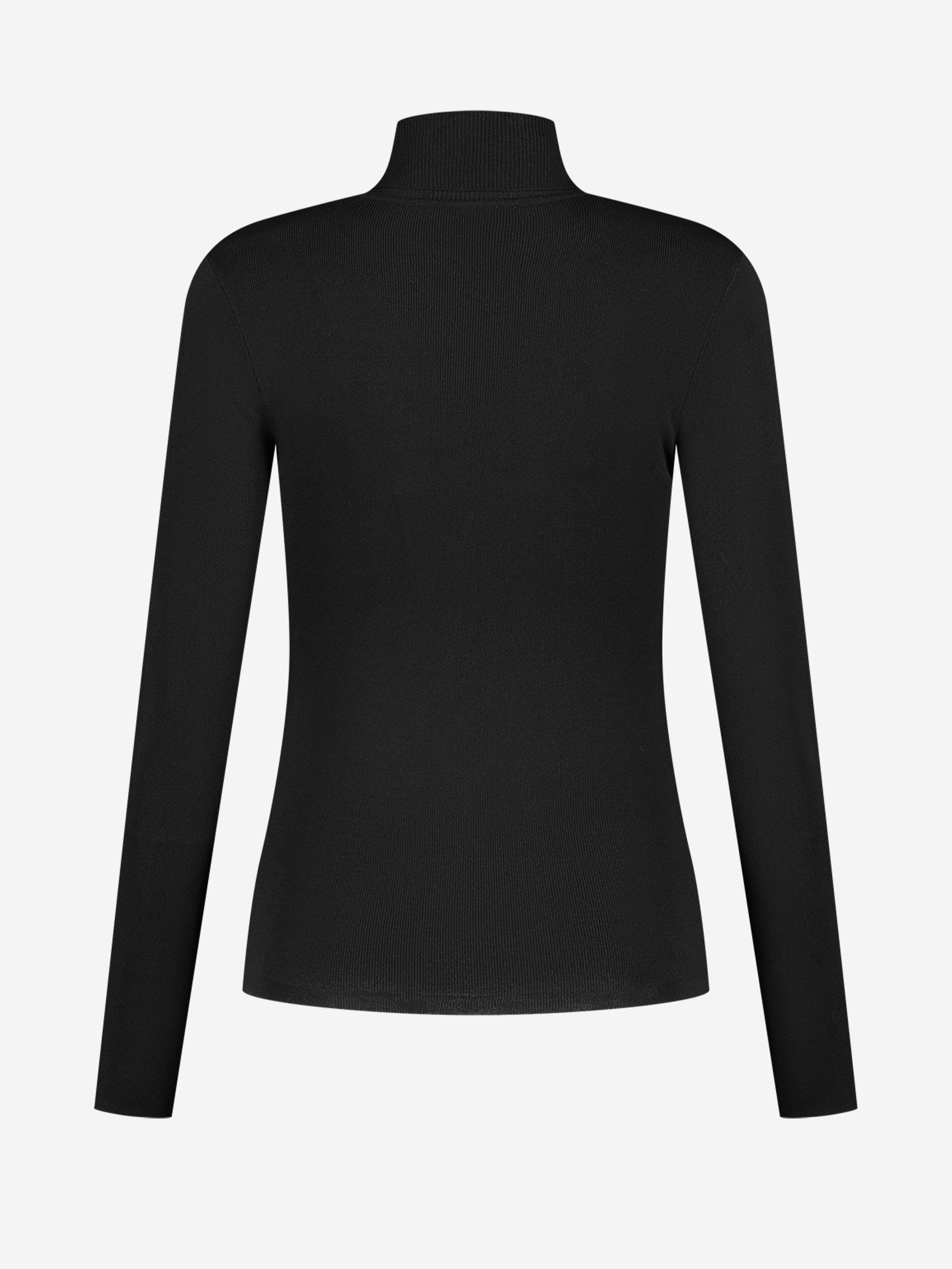 Jolie Ski Turtle Neck