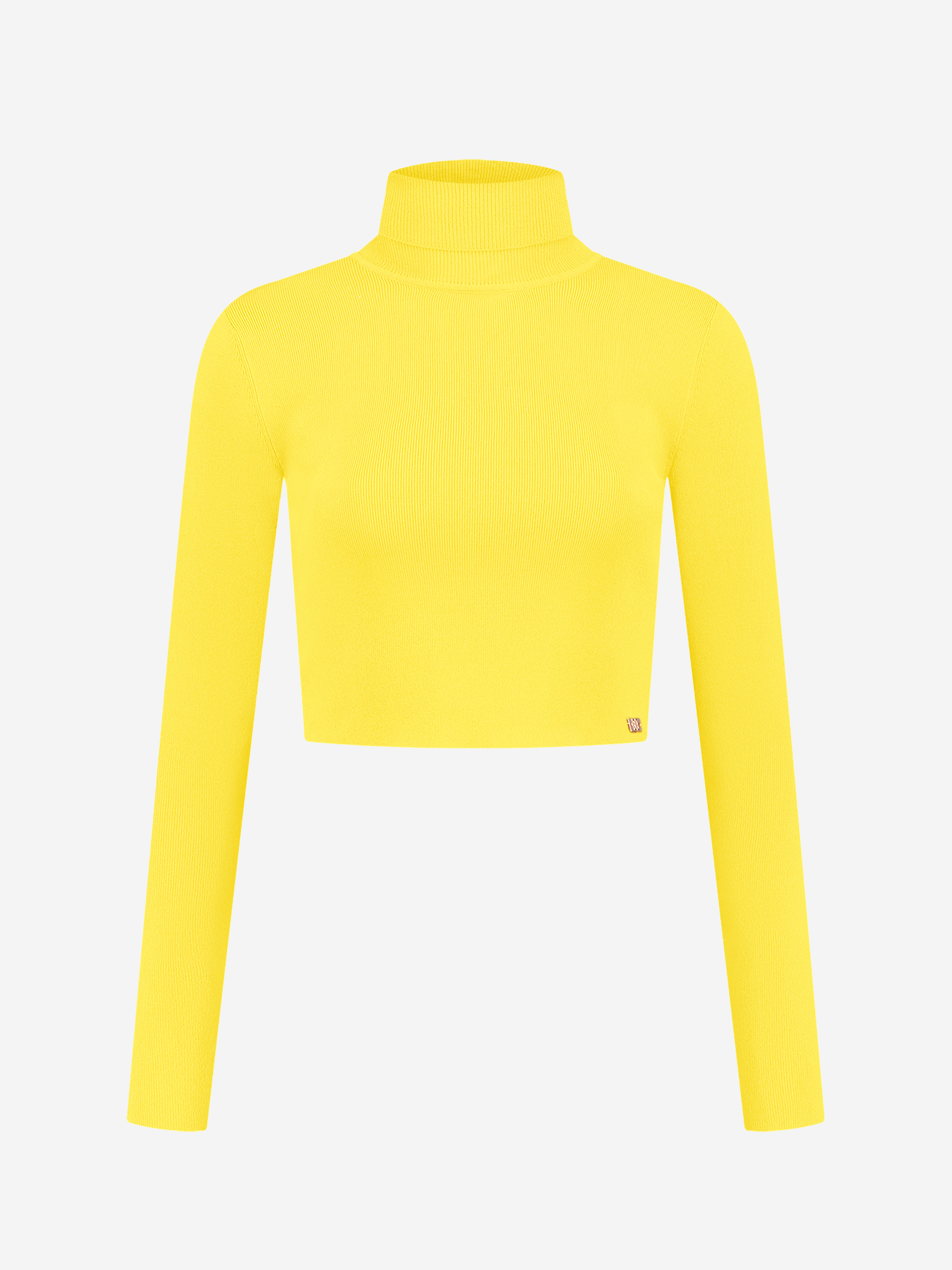 Fitted cropped longsleeve with turtle neck   