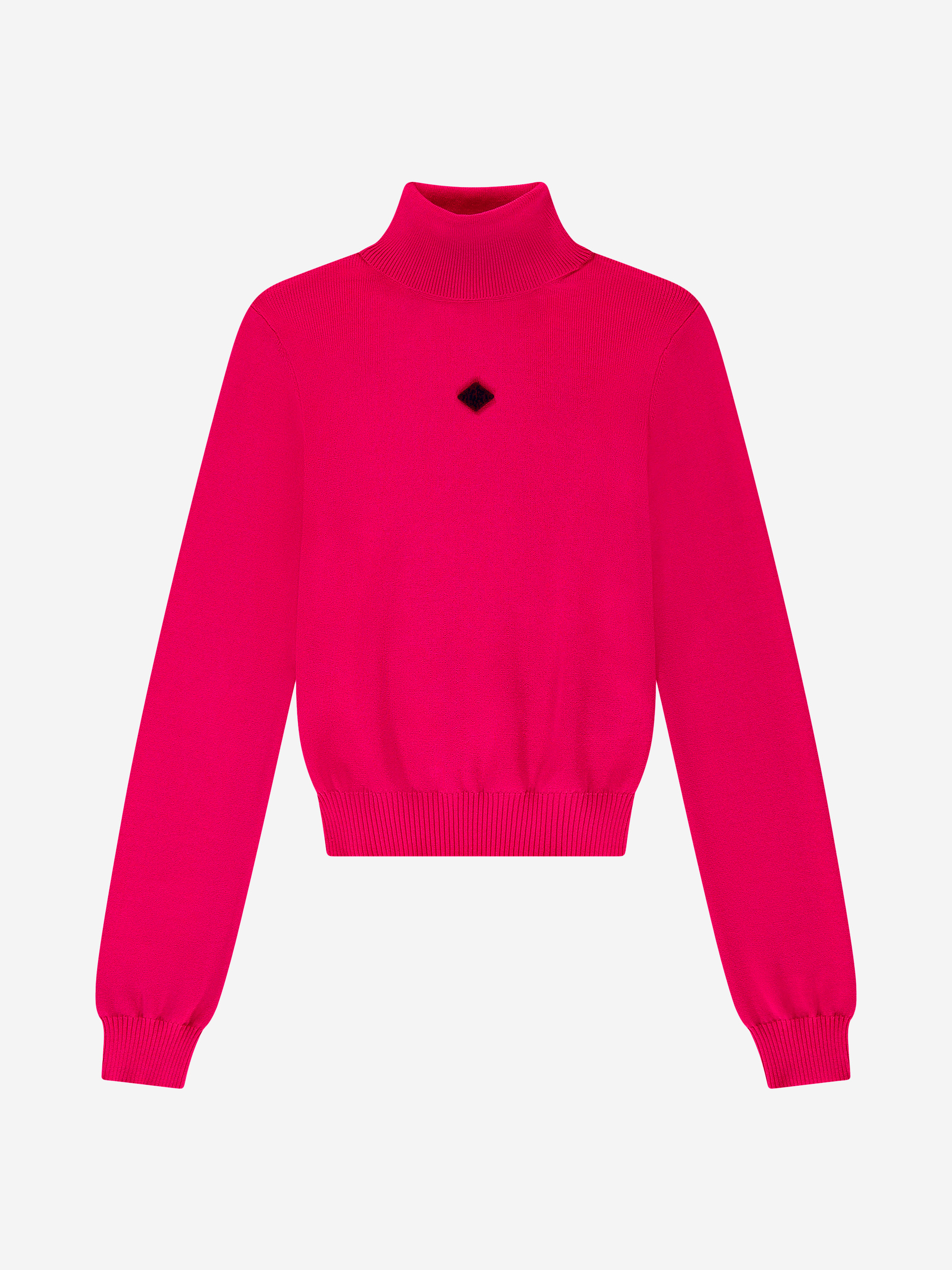 Fitted sweater with turtleneck 