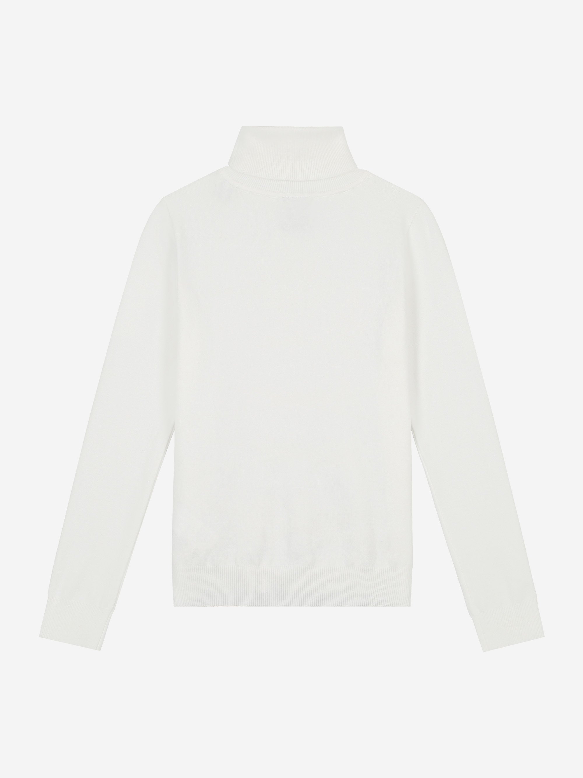 Sweater with turtleneck