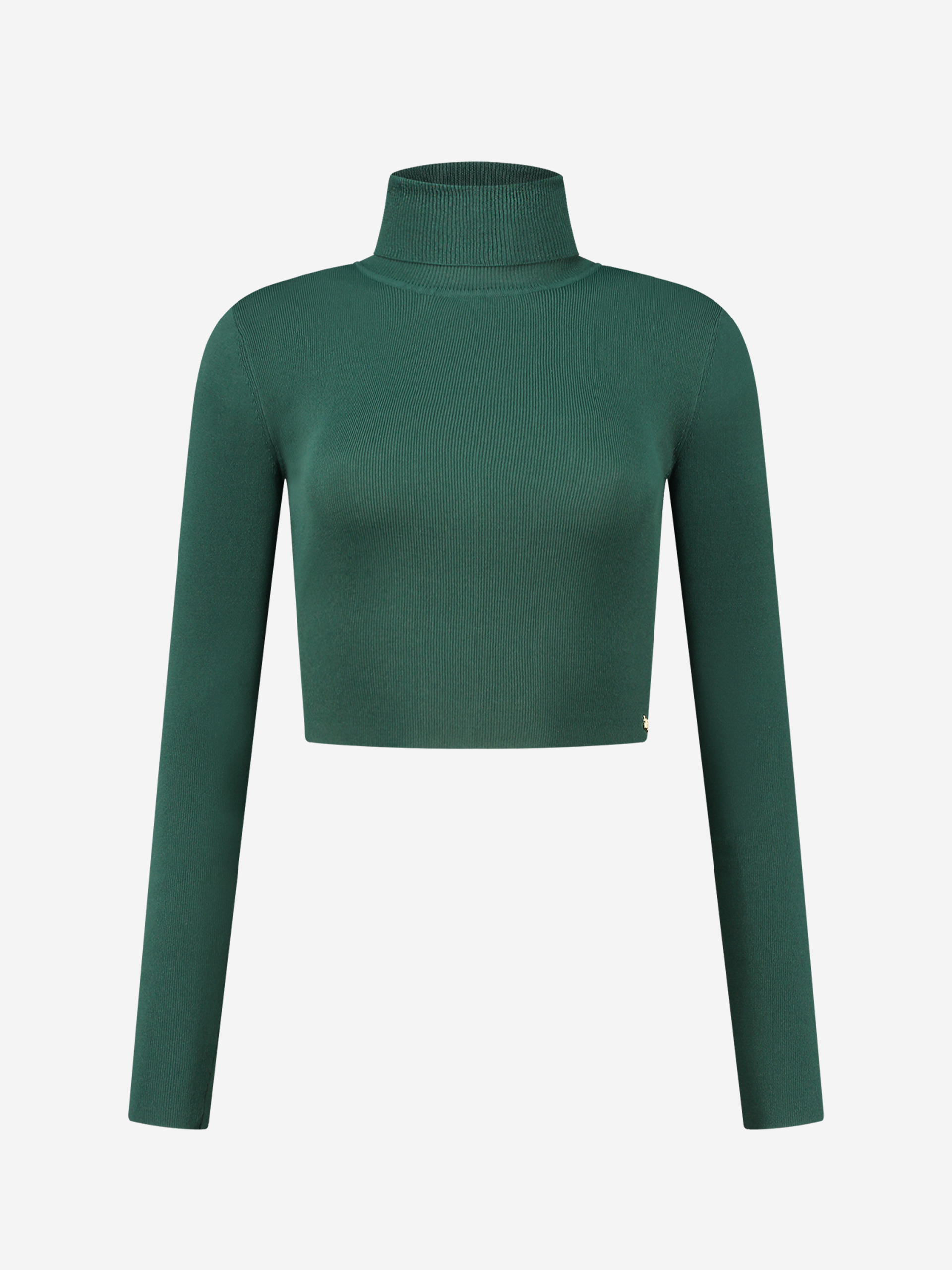 Fitted cropped longsleeve with turtle neck   