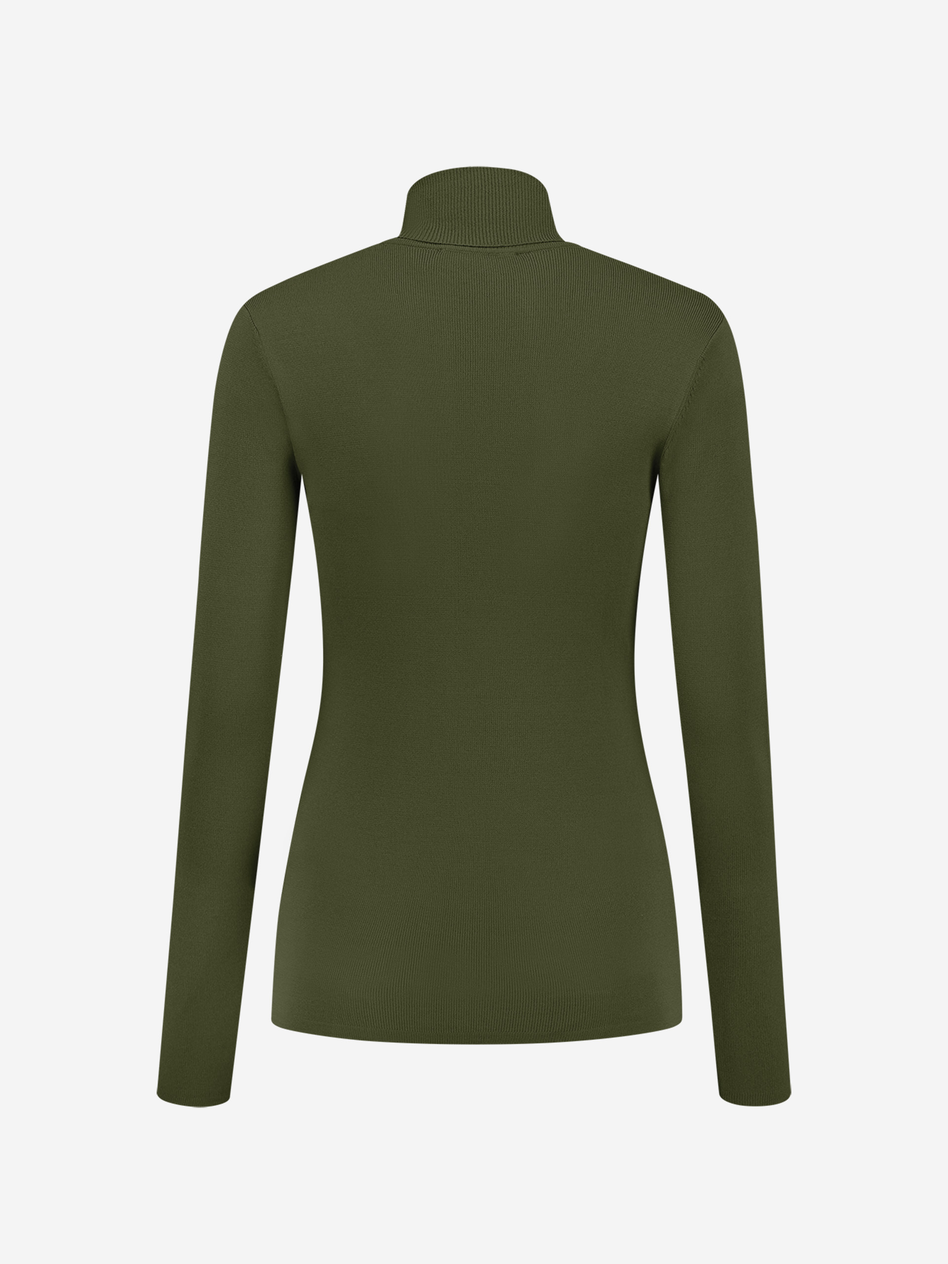 Jolie Turtle Top