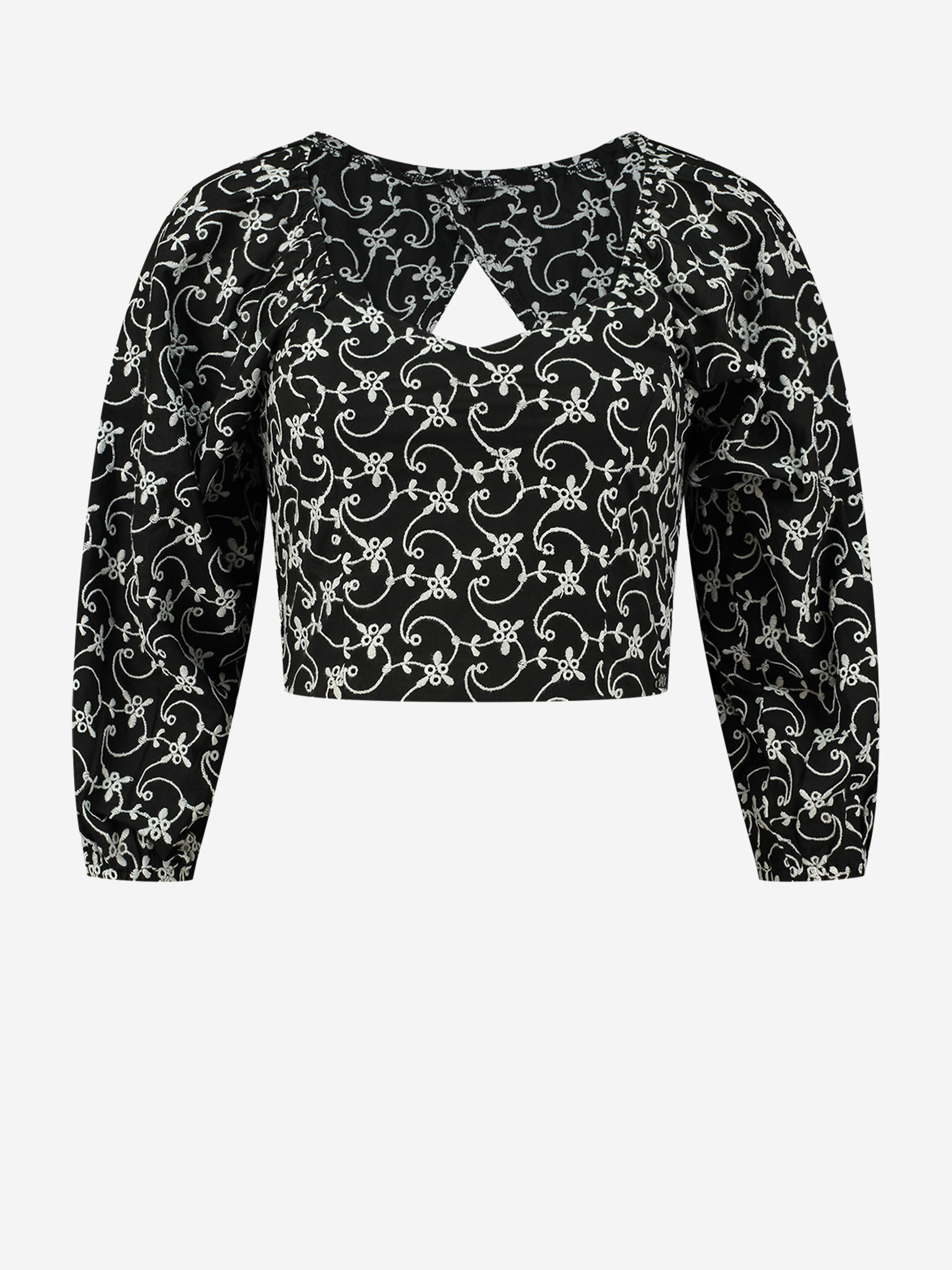 Cropped top with embroidery