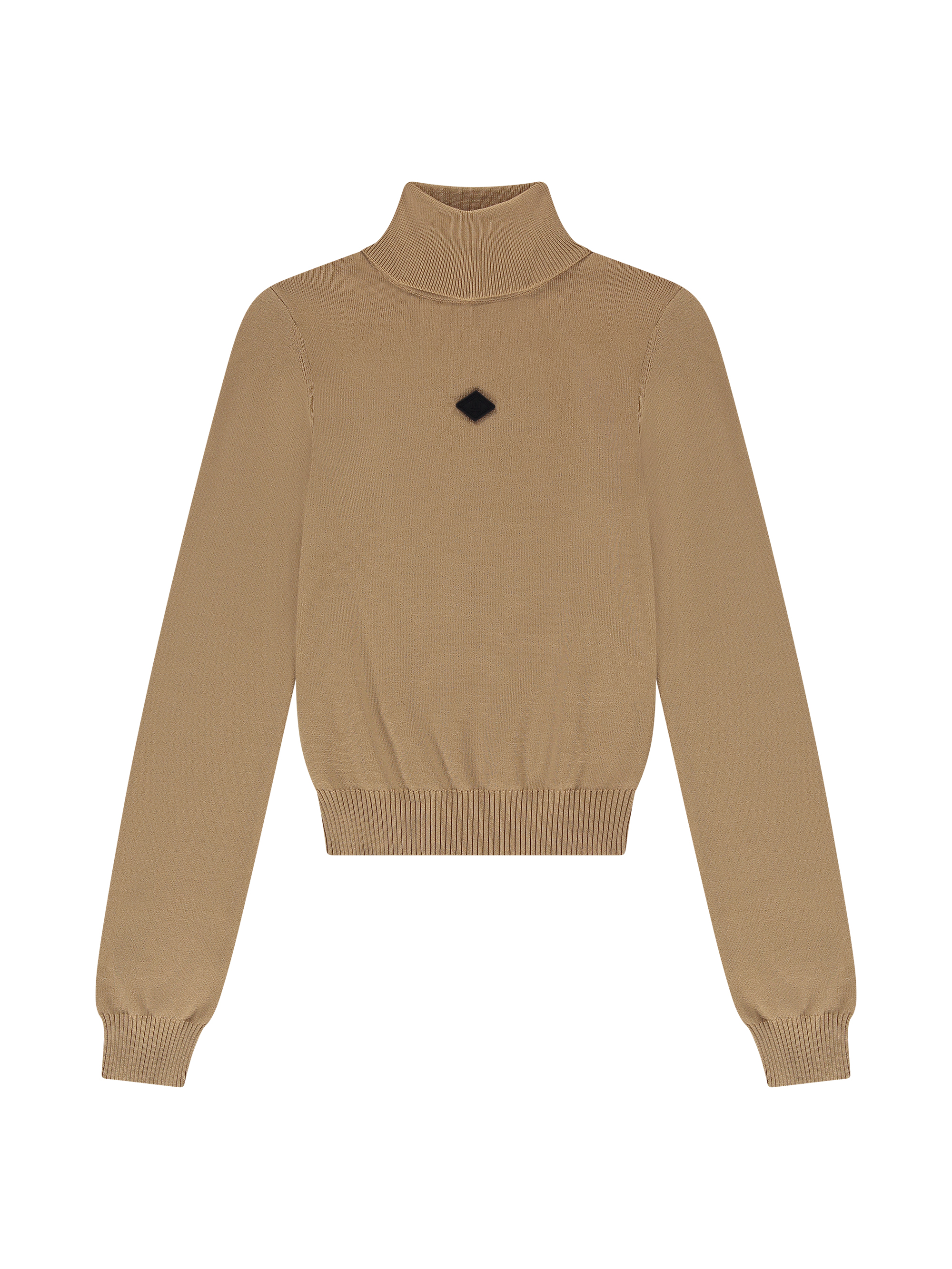 Fitted sweater with turtleneck 