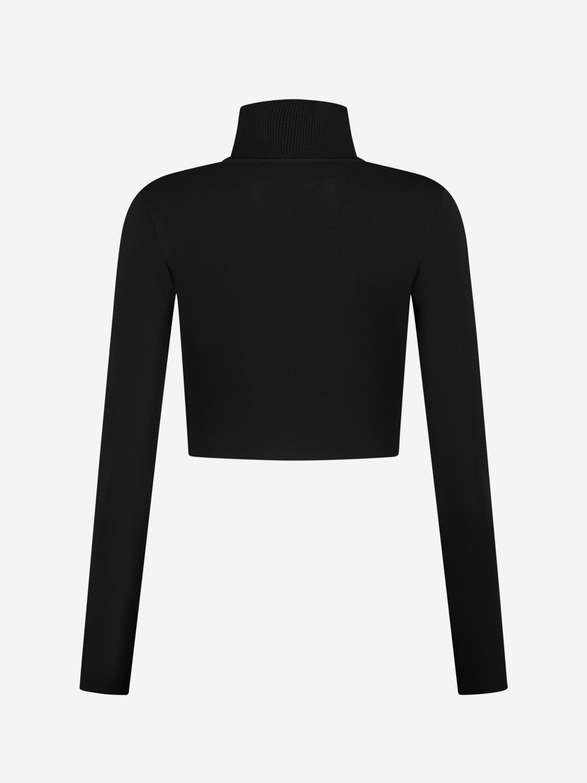 Fitted cropped longsleeve with turtle neck   