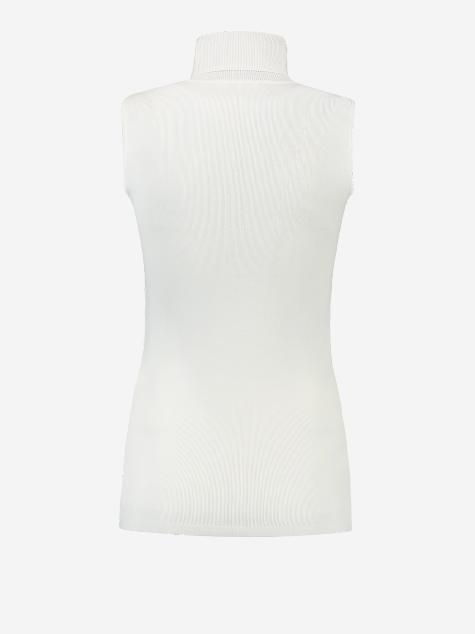 Jolie Turtle top