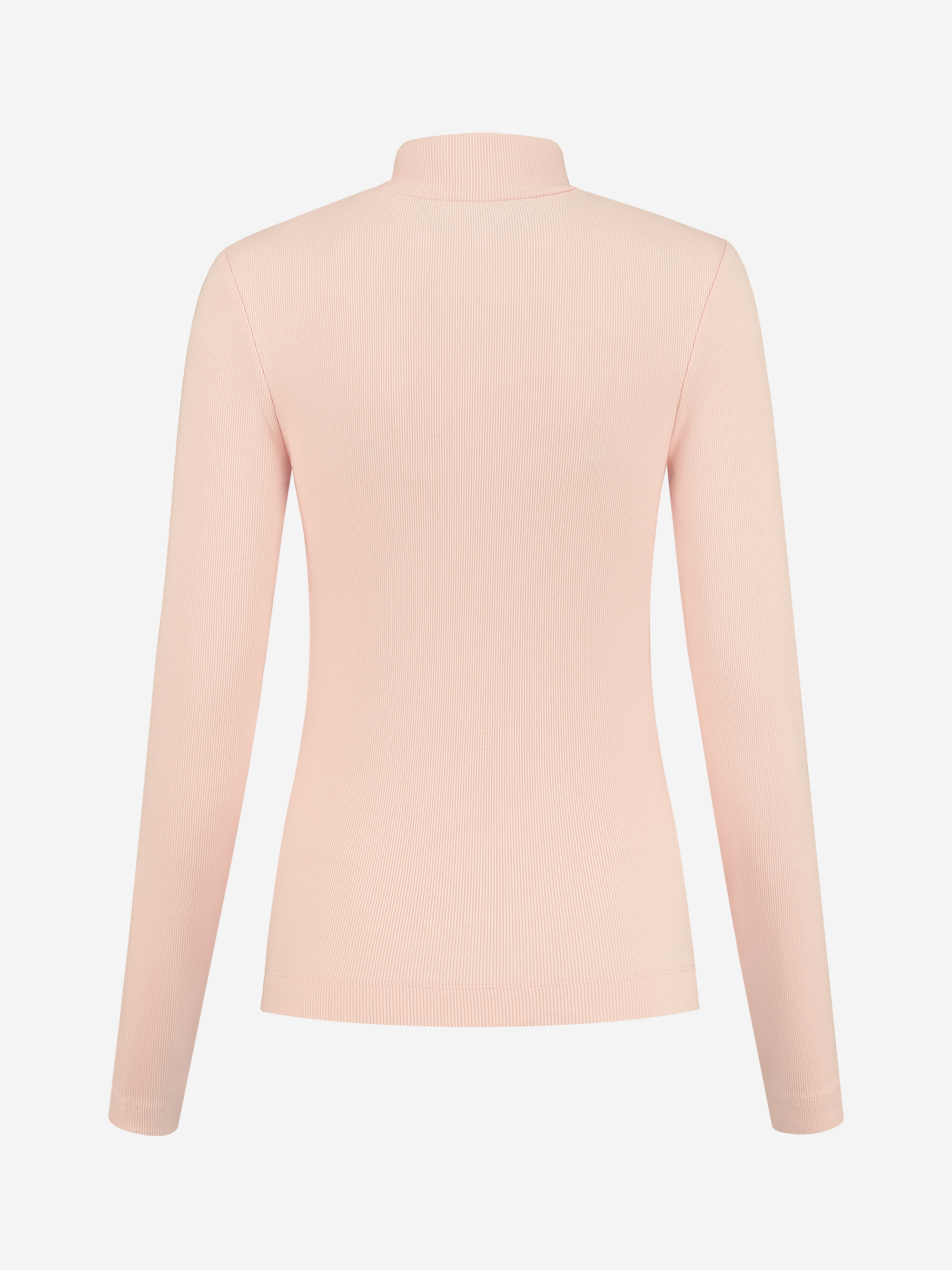 Rib Top Turtle Neck