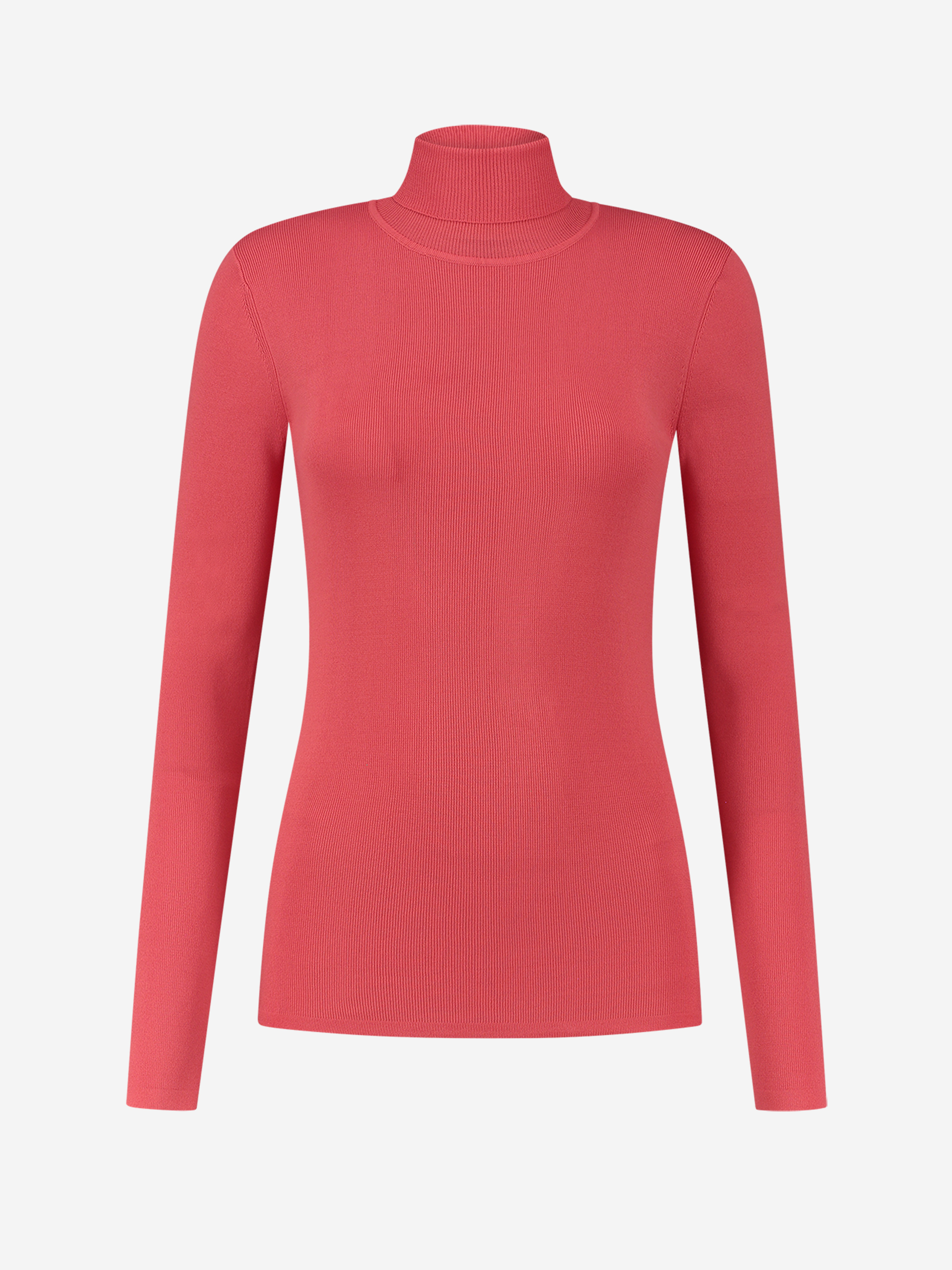 Jolie Turtle Top
