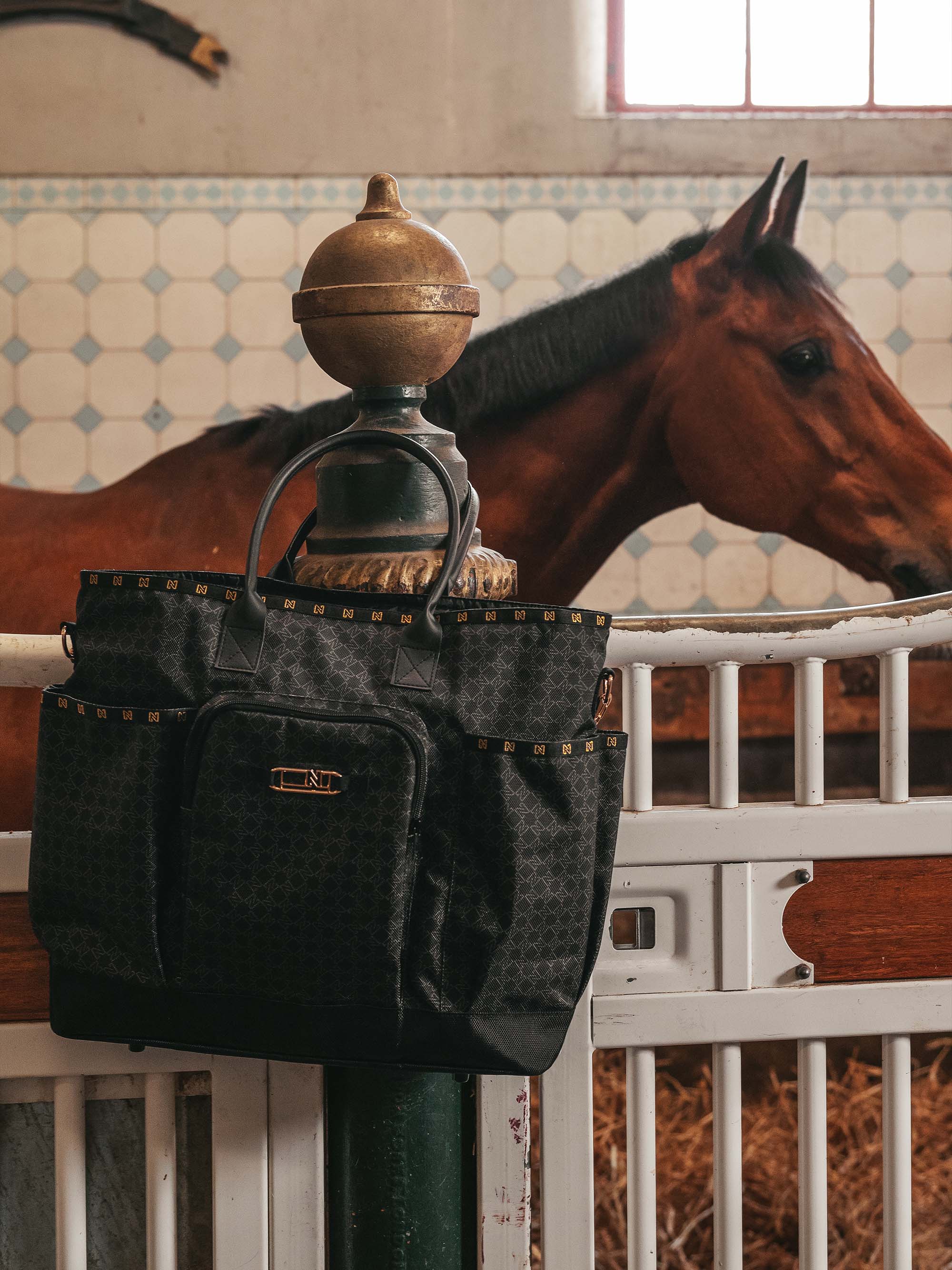 Grooming Bag