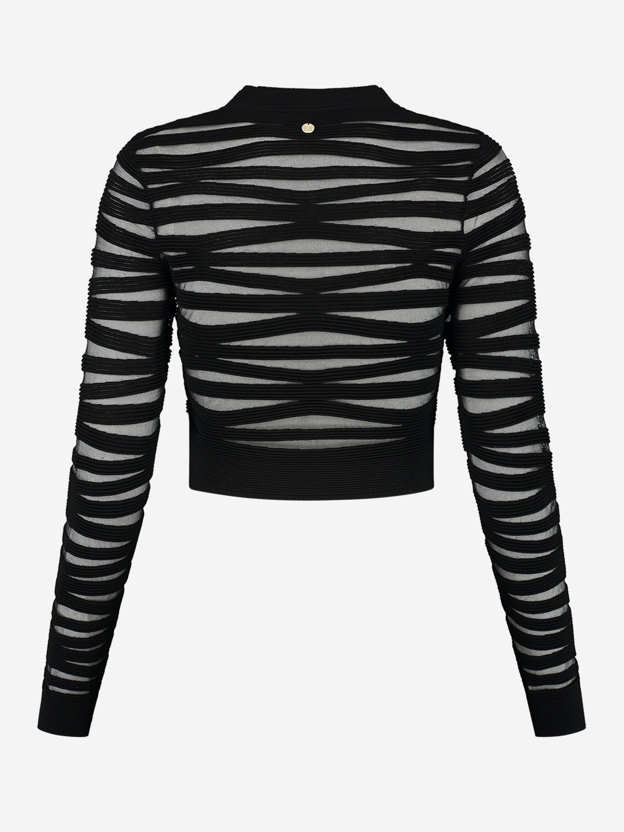 Zebra Sheer Top