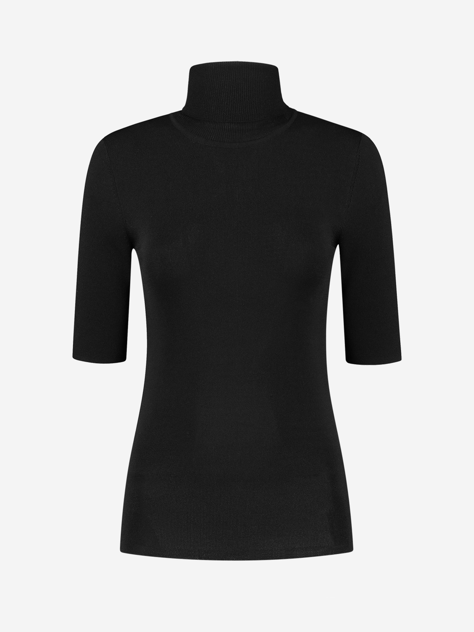 Jolie Turtle Top 1/2 sleeve