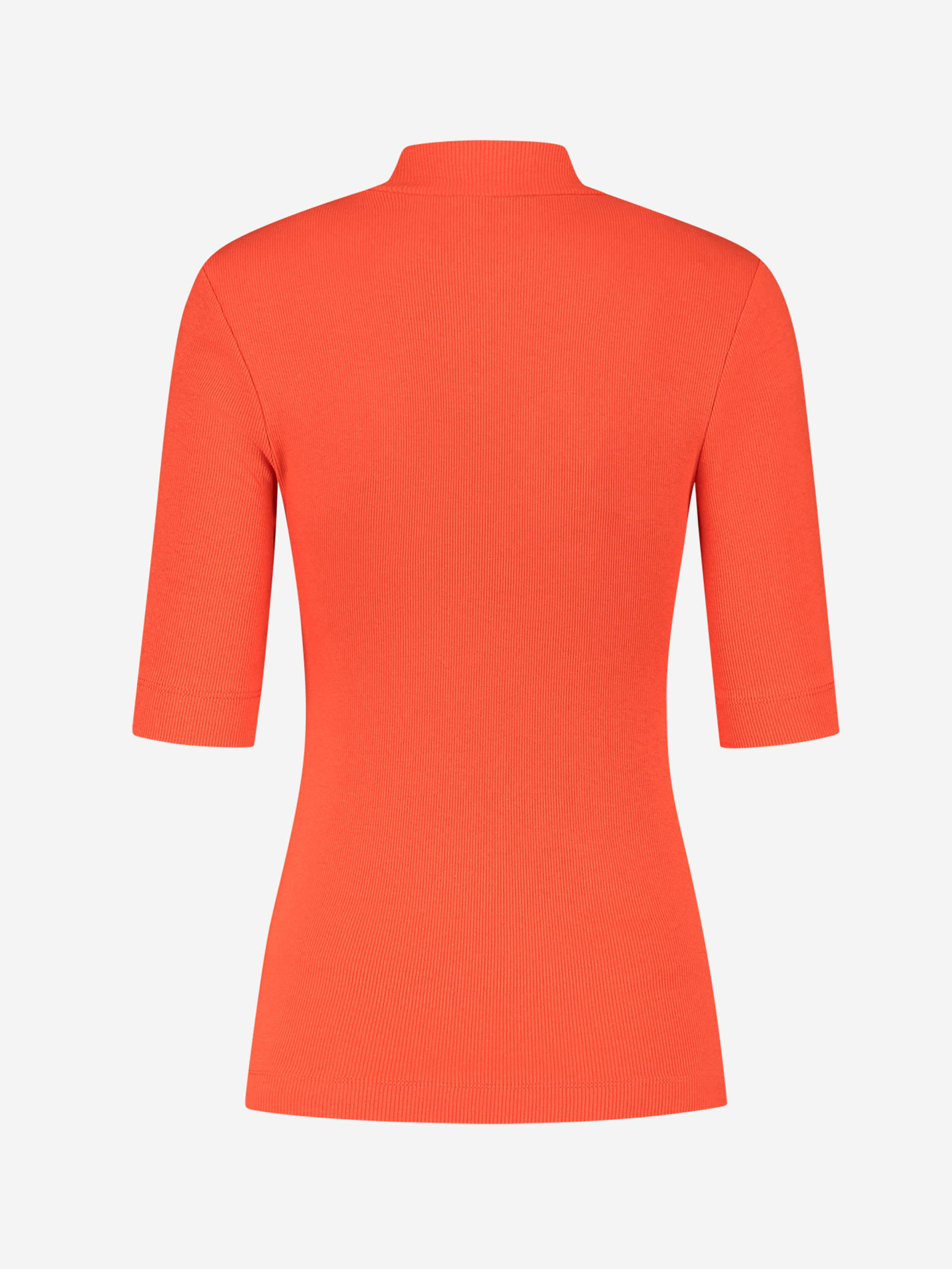 Rib Top Turtle Neck