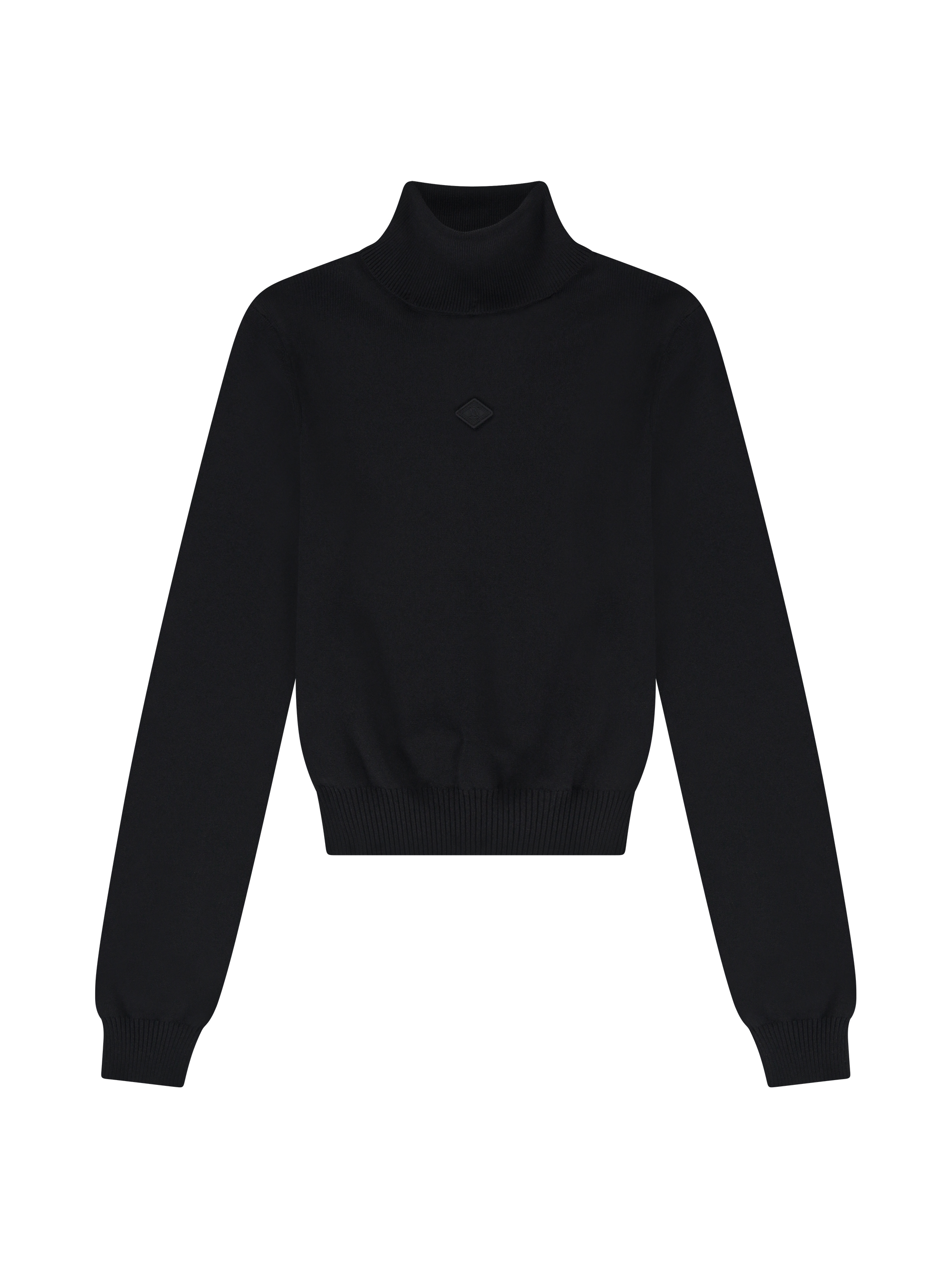 Fitted sweater with turtleneck 