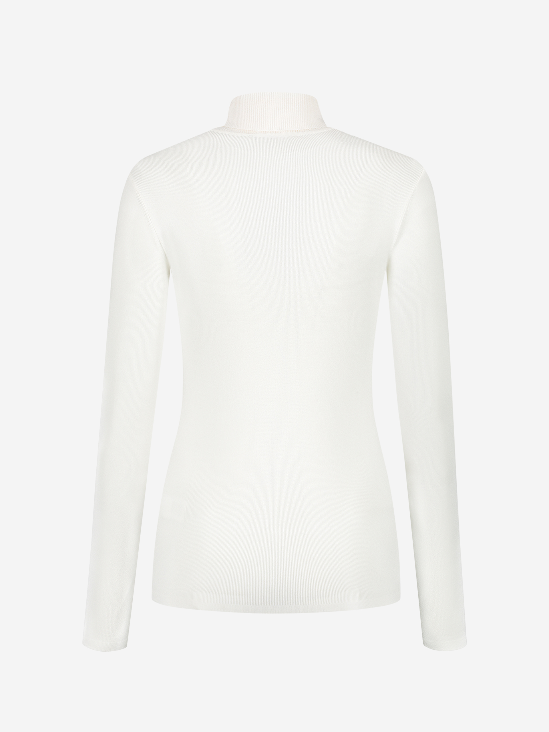 Fitted top with turtle neck